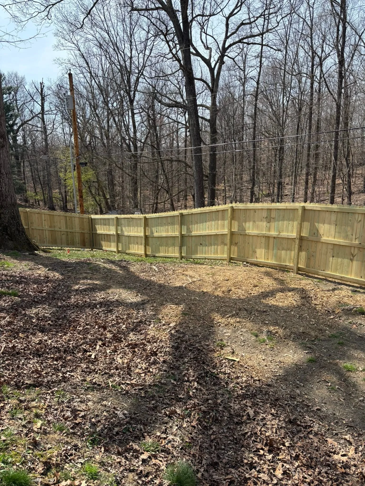 Wooden privacy fence