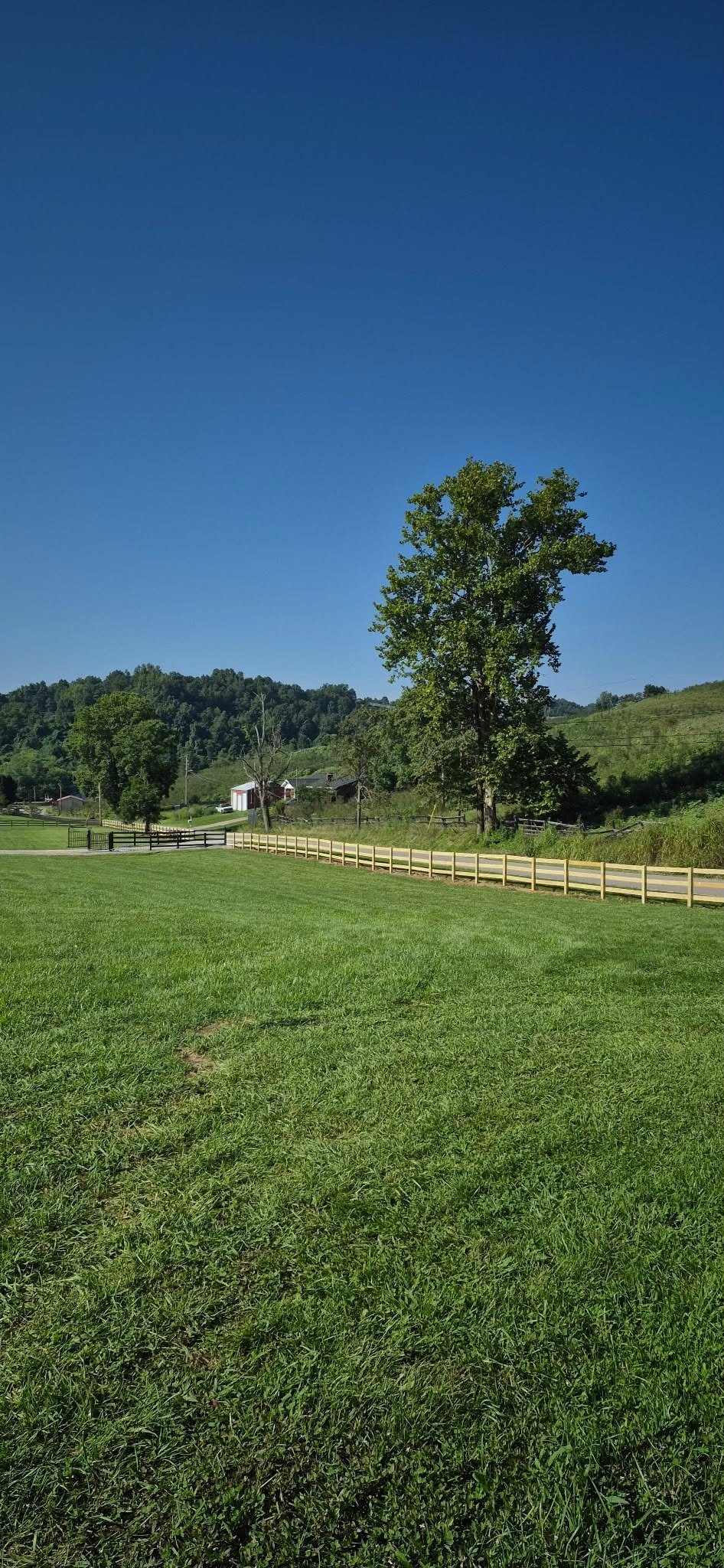 3 board horse fence