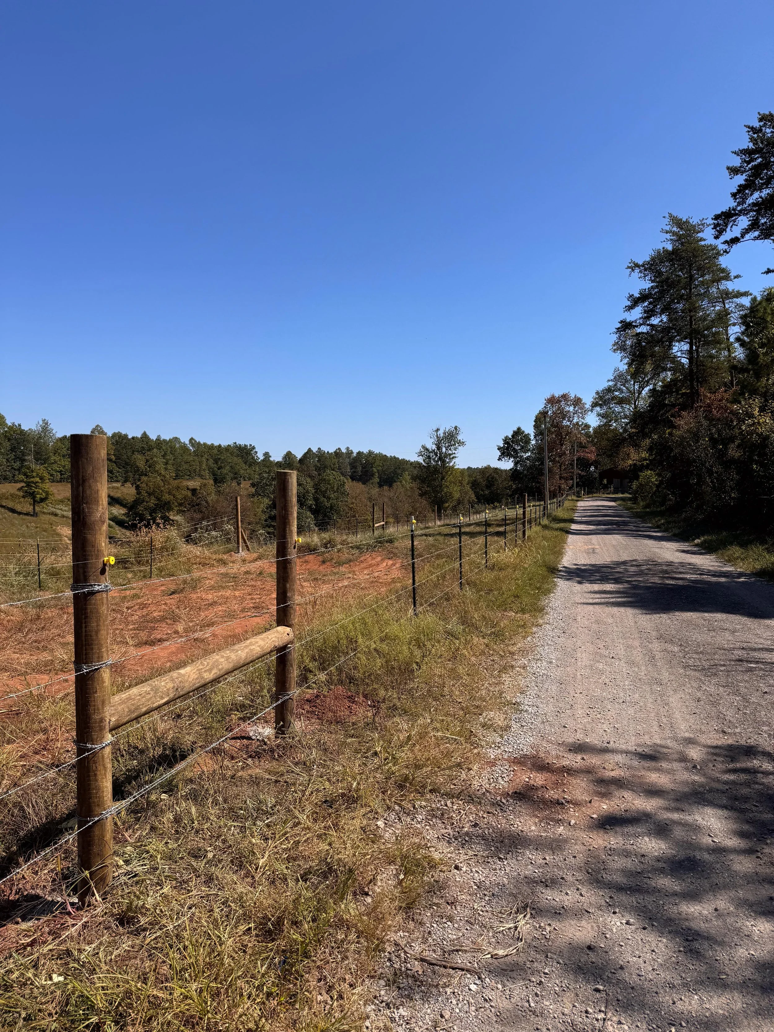 Barbed wire livestock fence