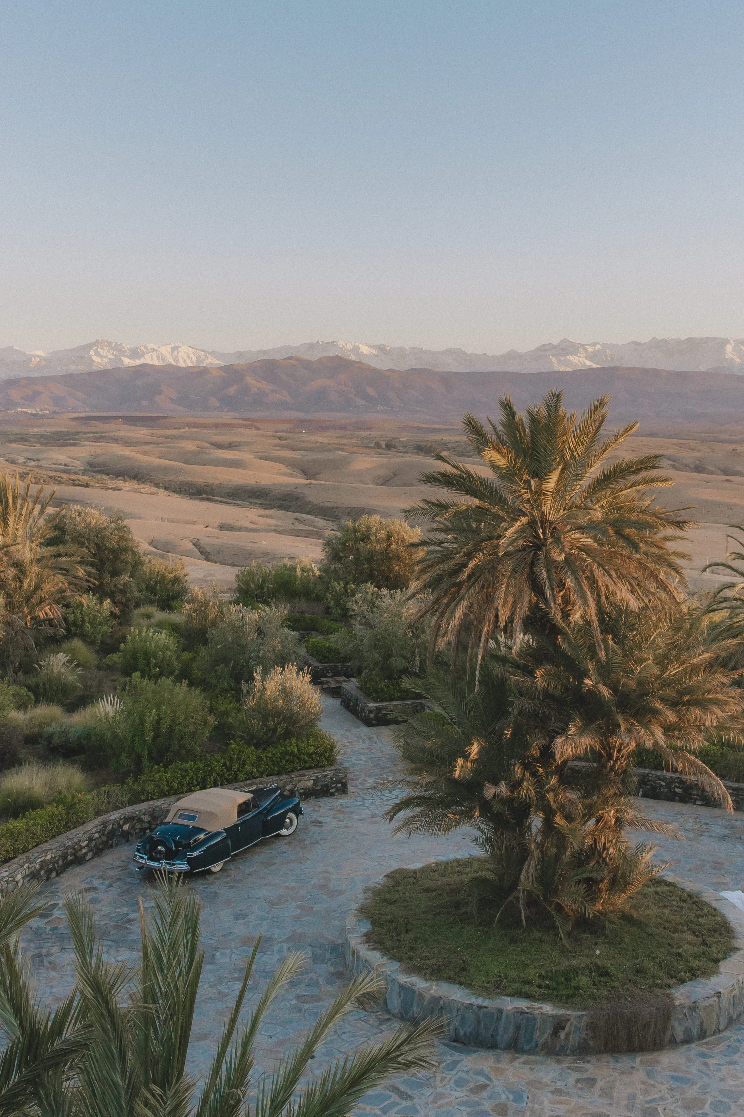 Photo 8-1-2026, 6 36 52 PM.jpg