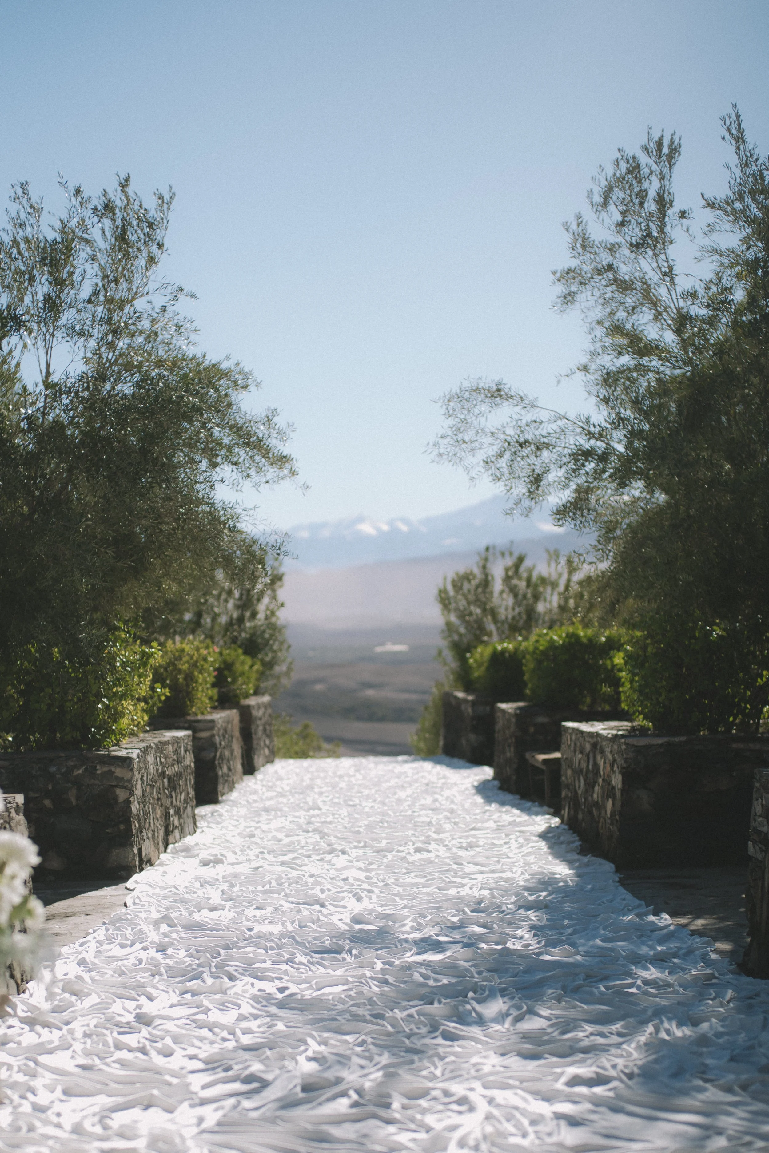 Photo 8-1-2026, 11 12 09 AM.jpg