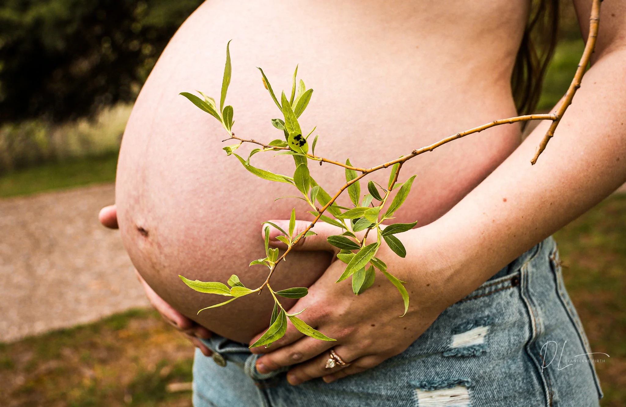 Close-up of a pregnant woman with a branch with green leaves. She is wearing ripped jeans and has a ring on her finger. The background is outdoors with blurred nature.