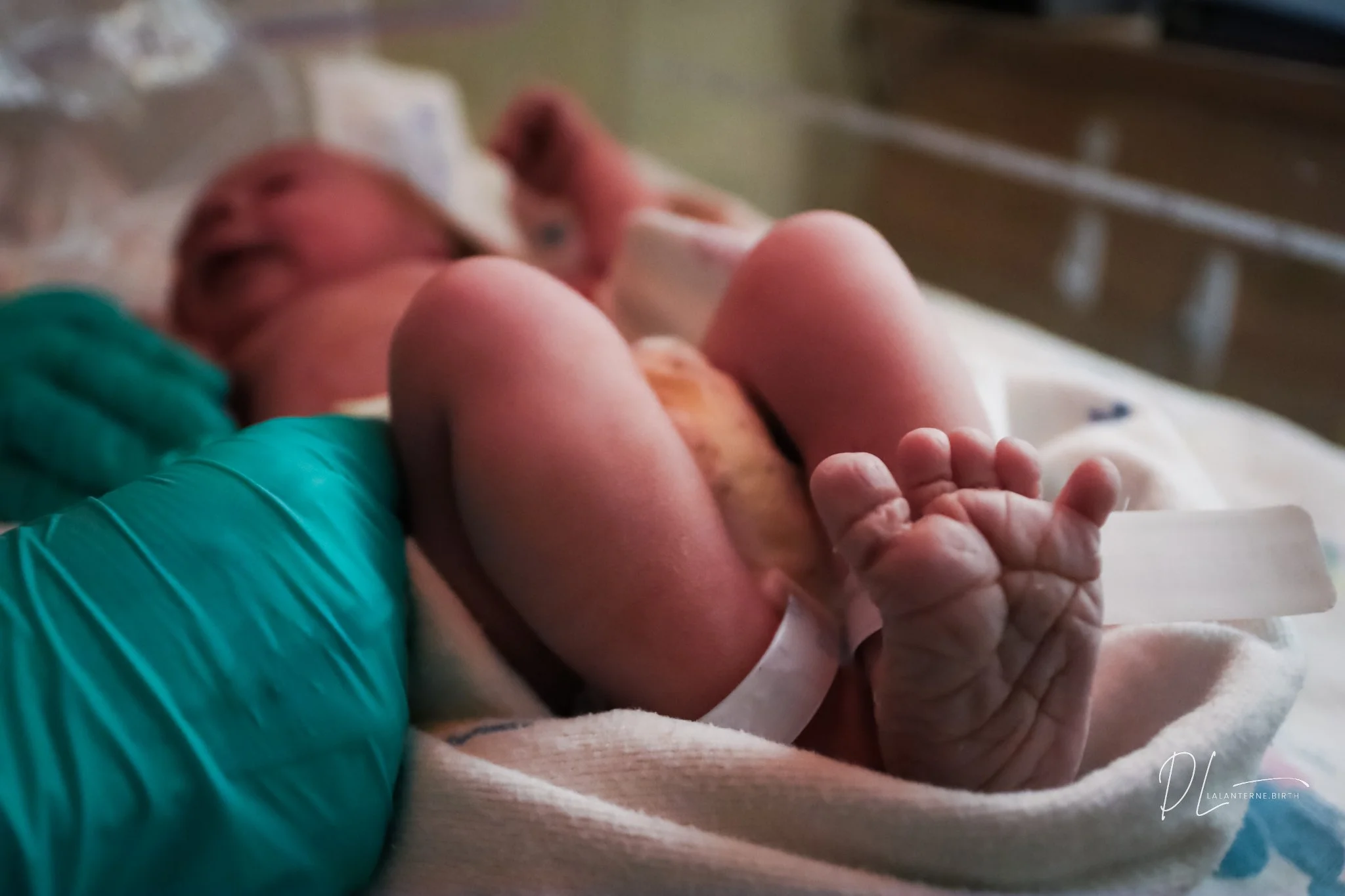 Close-up of a newborn baby lying in a hospital bassinet, with a healthcare worker's gloved hand gently holding the baby's hand.