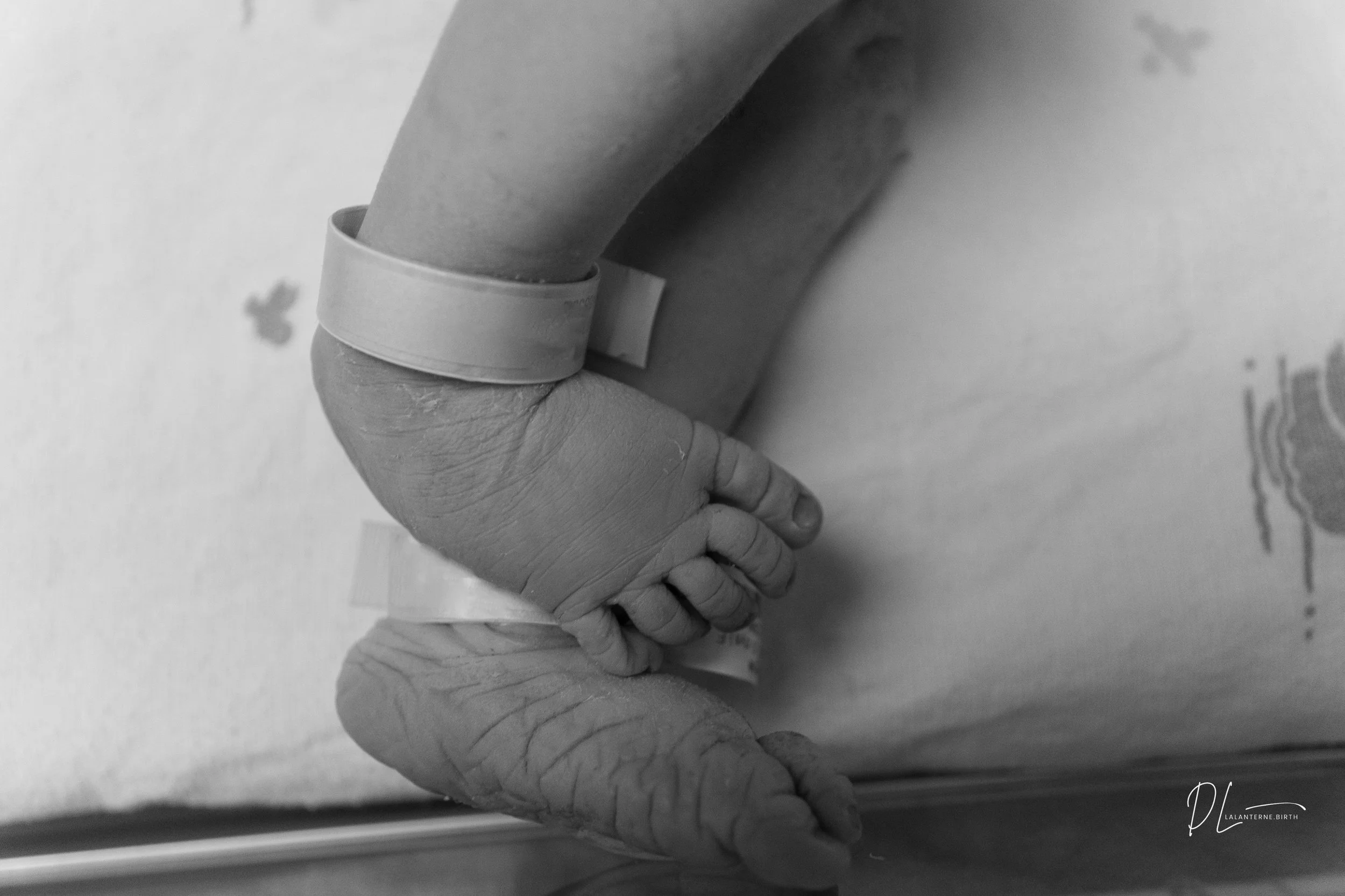 Close-up of an adult and a baby's hands holding each other, with the baby’s hand resting gently on top of the adult’s hand, in black and white.