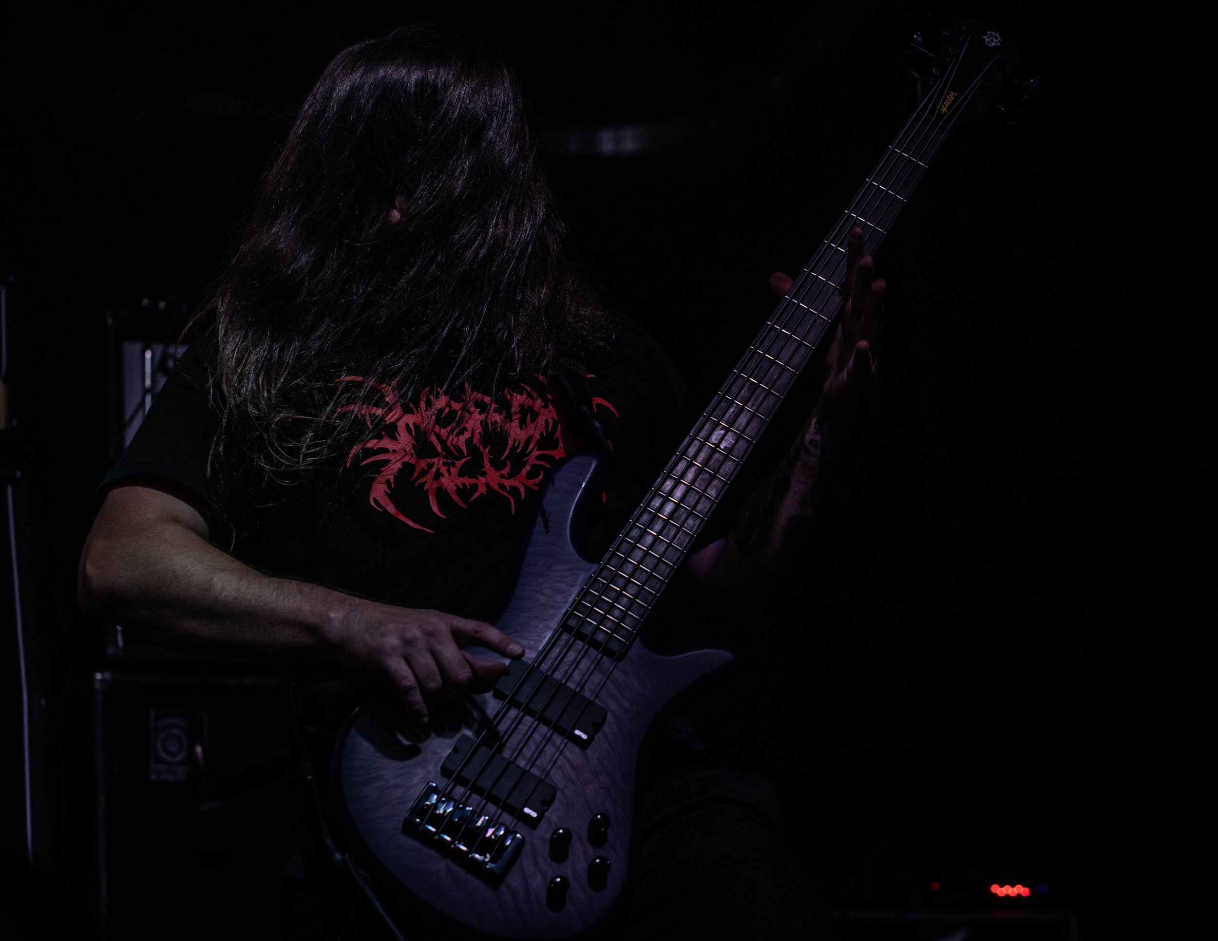 Infest-36.jpg