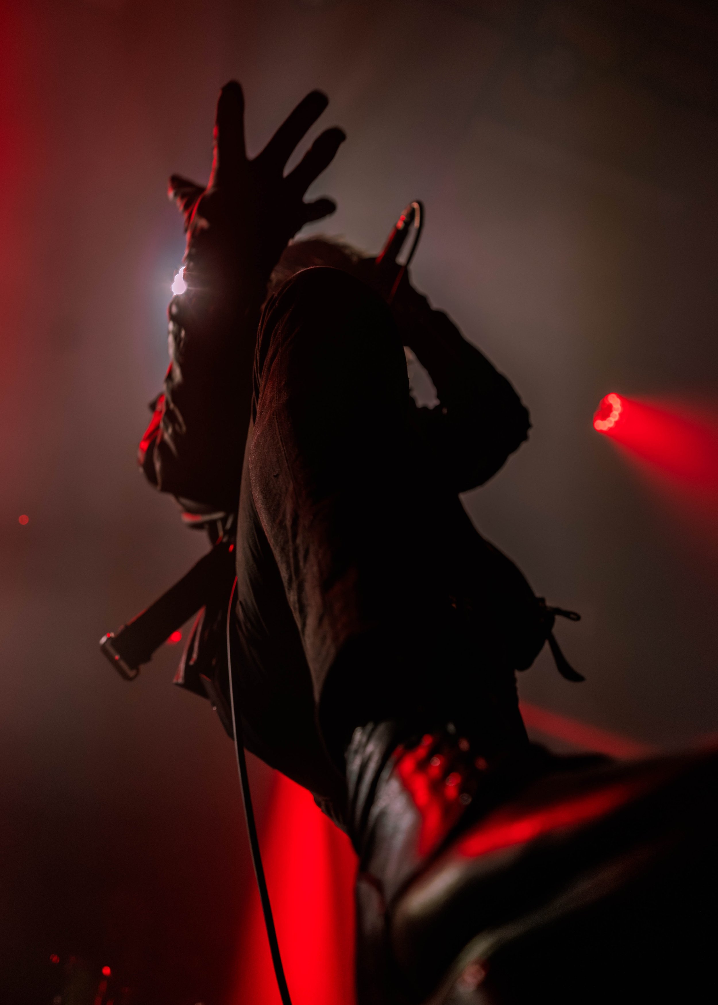 Infest-133.jpg
