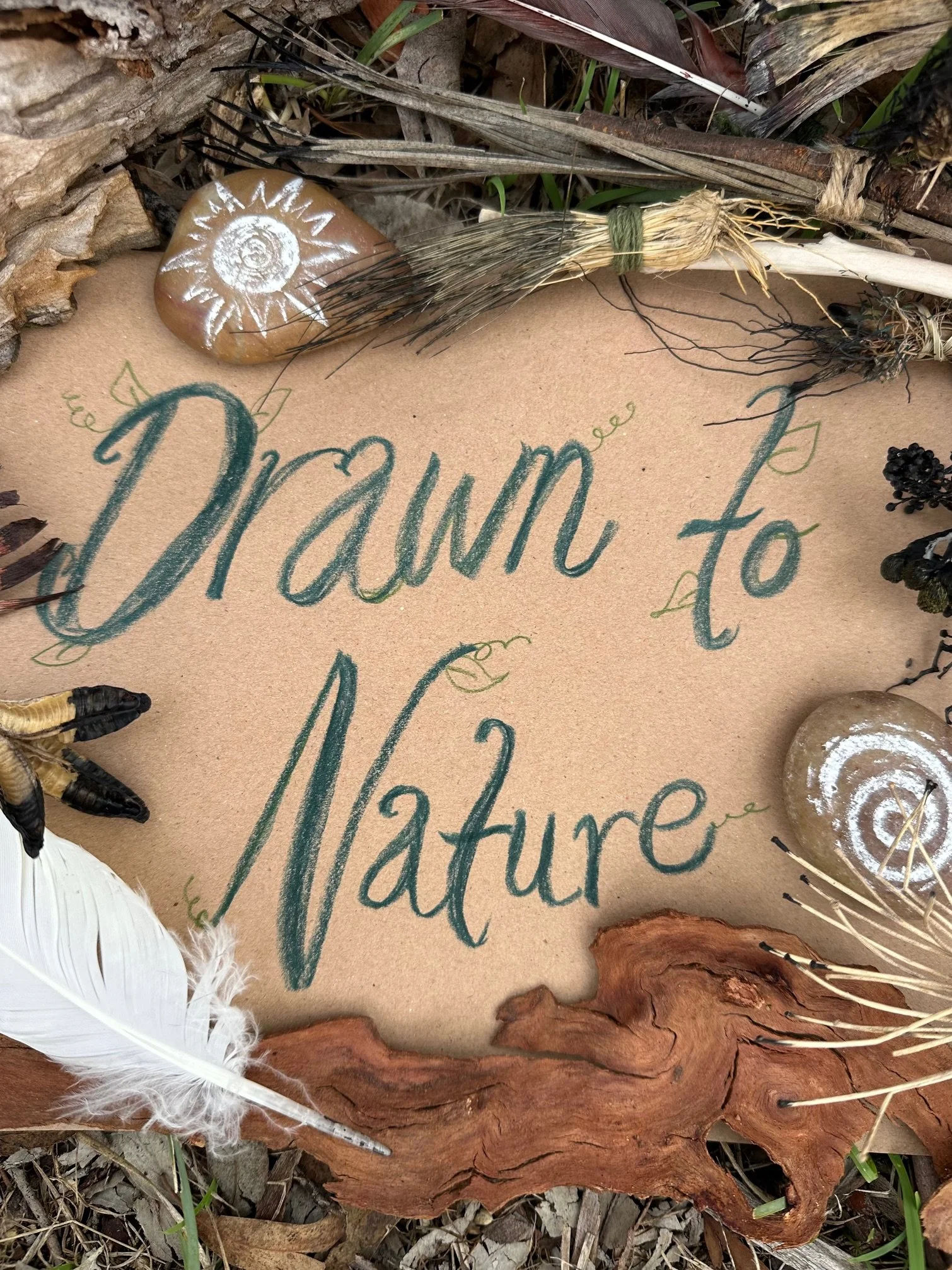 A hand drawn title page - dark green pencil on brown kraft paper - surrounded by a collecton of nature items (feathers, rocks, bark).