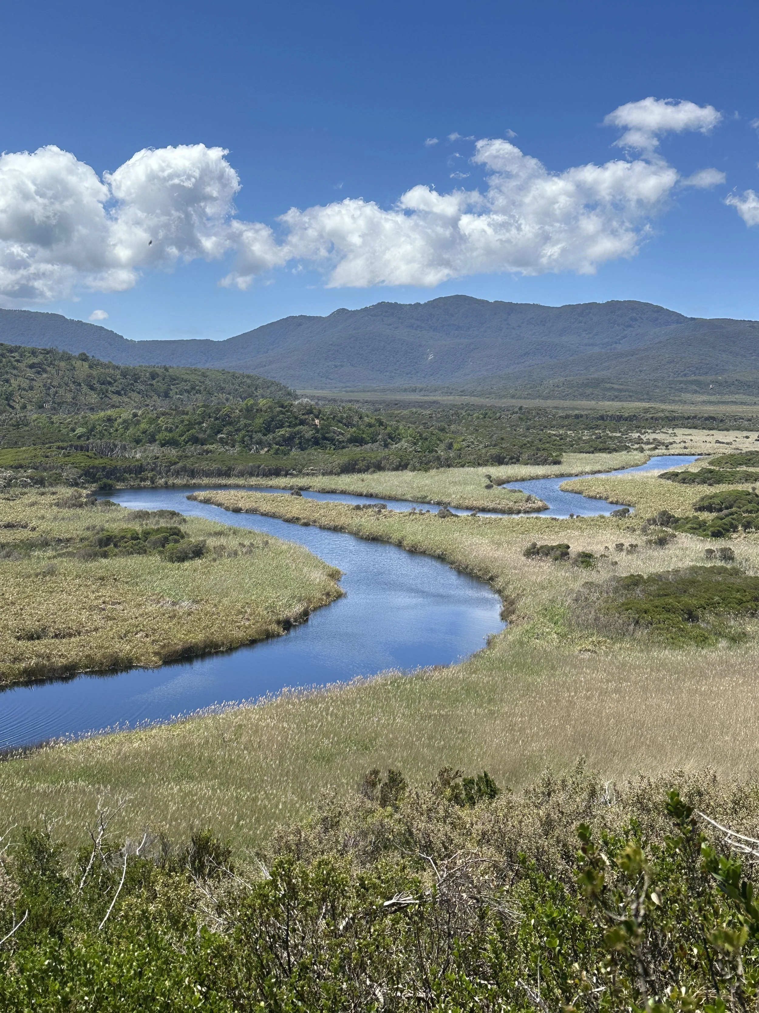 A nature view of a winding river snaking through the landscape with distant mountains and fluffy clouds against a clear blue sky.
