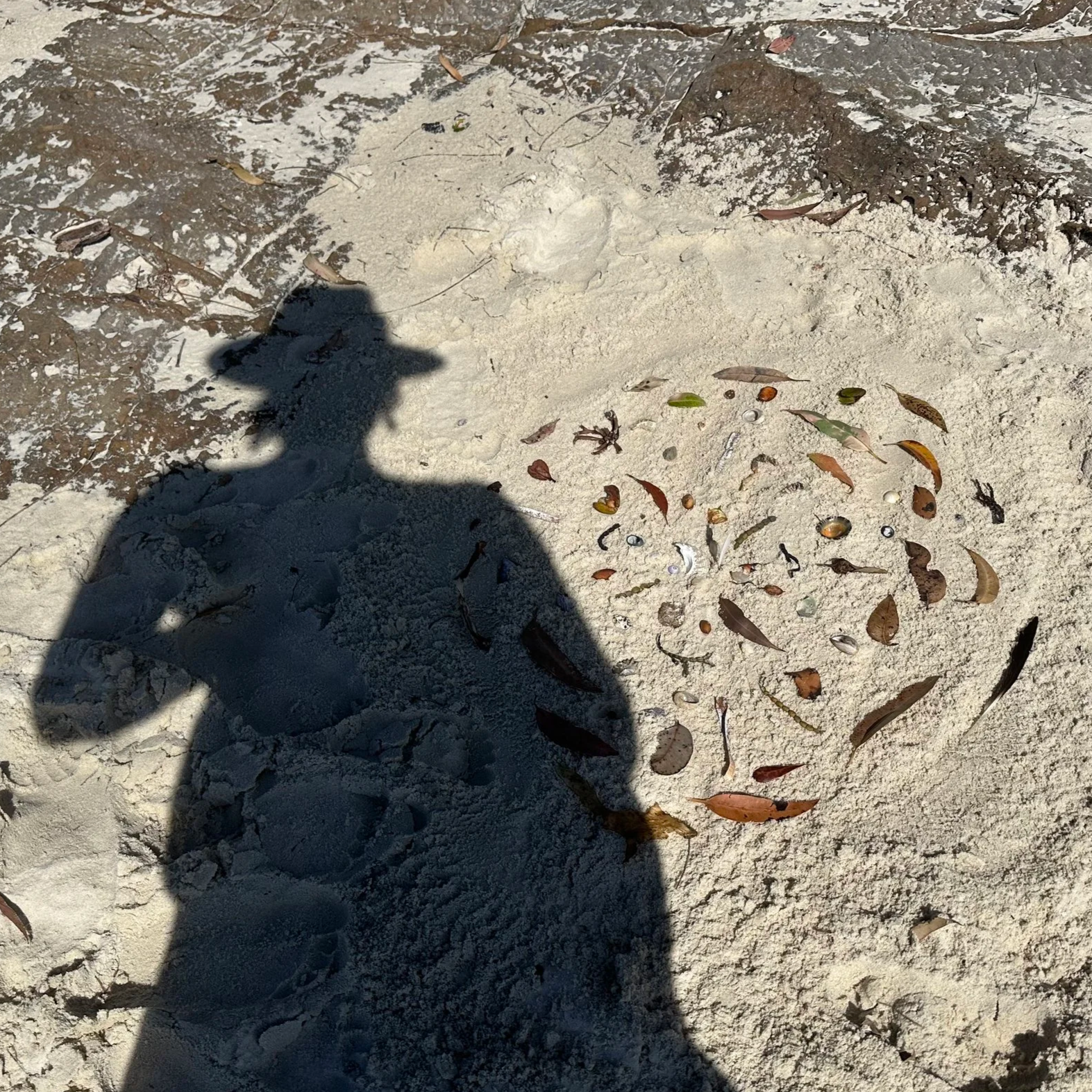 A photograph of a sandy beach with a mandala artwork made from beach combing finds - leaves, shells, seaweed, feathers. A shadow of a woman (Sally) is cast next to the Mandala.