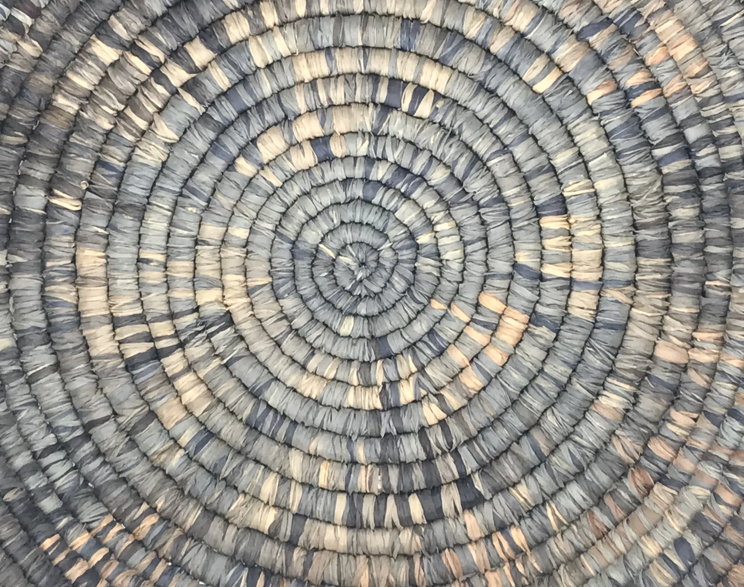 Contemplating  (1).JPG