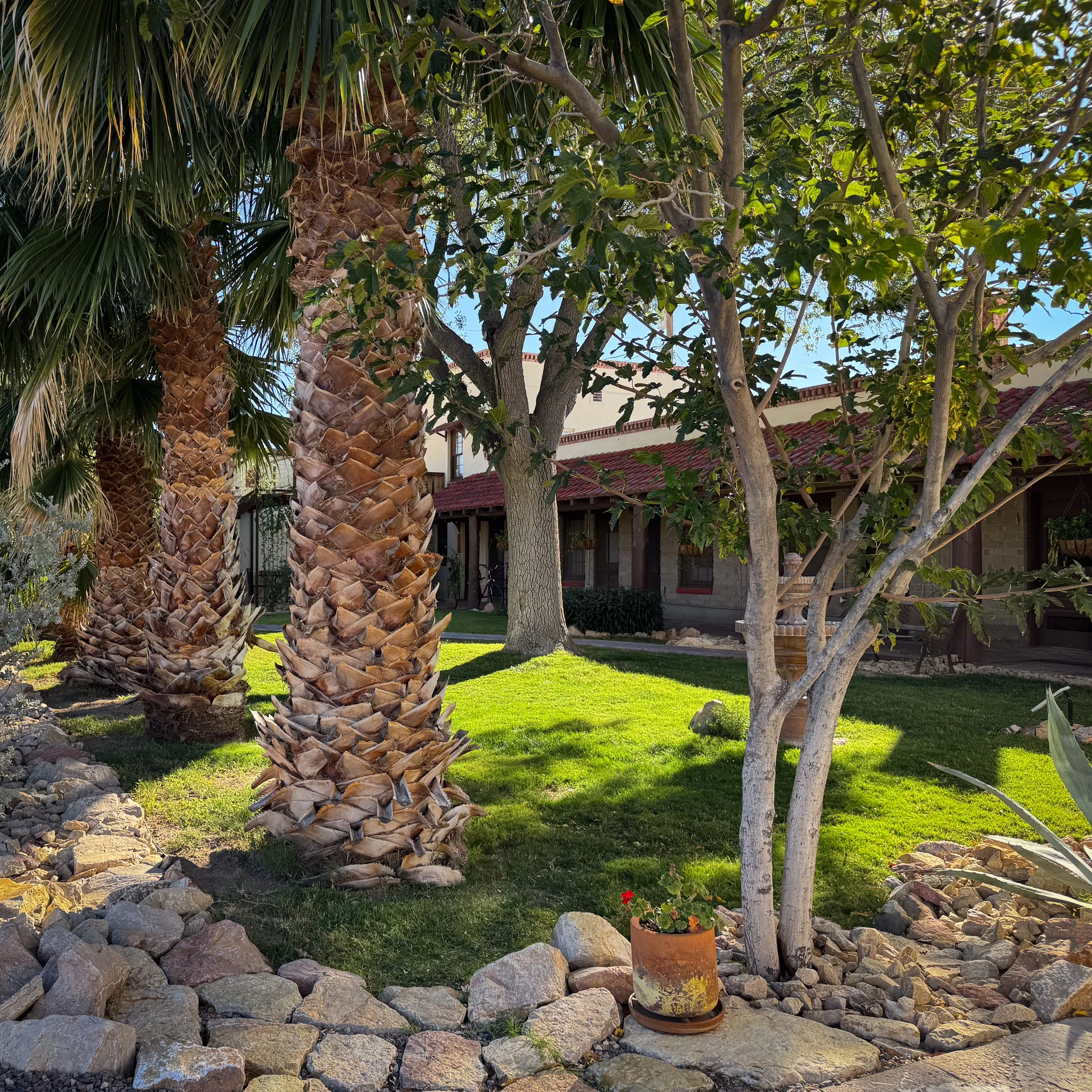 Cactus Room across the courtyard– Hoosier Hot Springs and Inn – Truth or Consequences NM-14.jpg