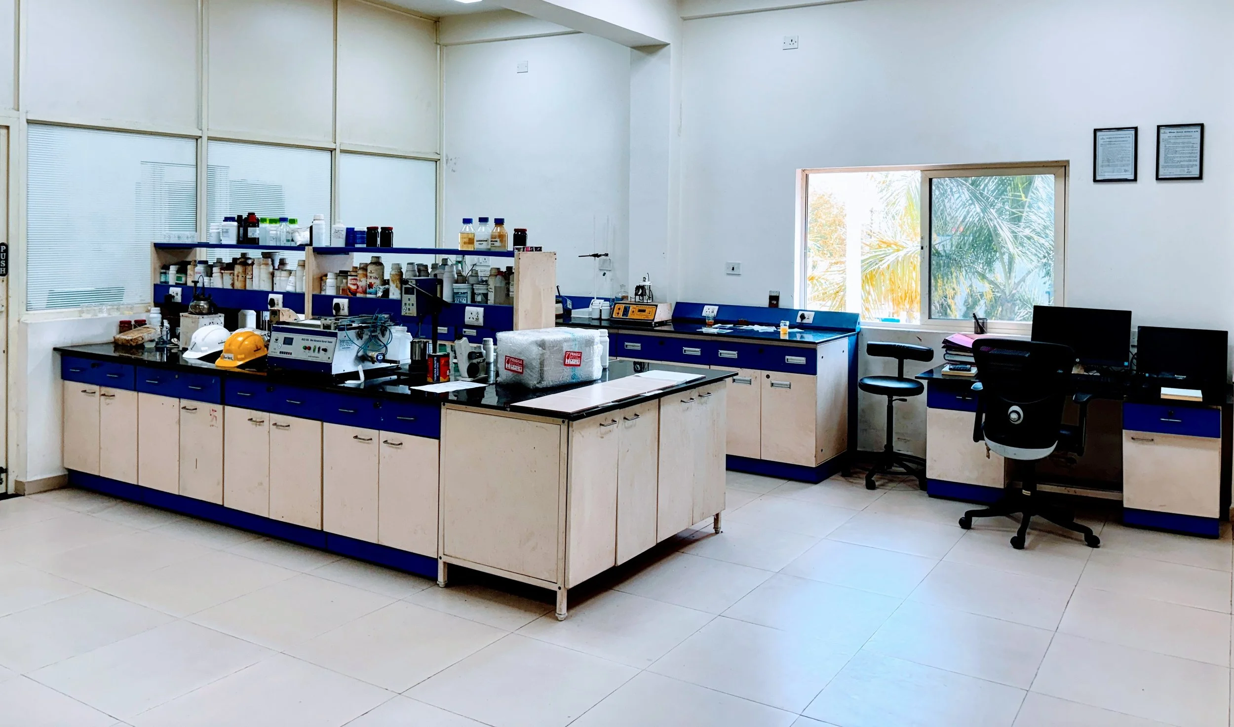 Wet Zone - 2025-02-13.JPG