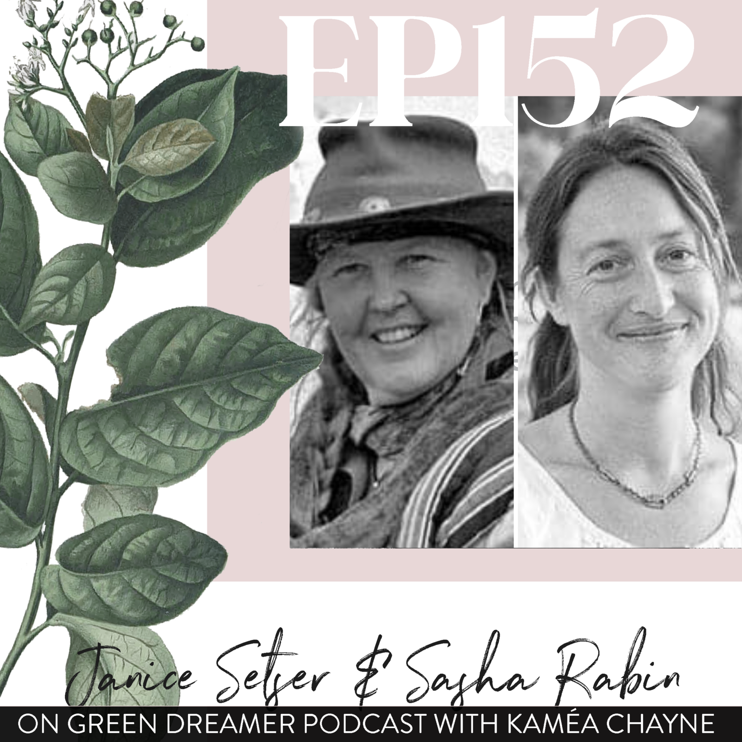 Questioning modern views of advancement using permacultural wisdom (interview with janice setser and sasha rabin of quail springs permaculture)