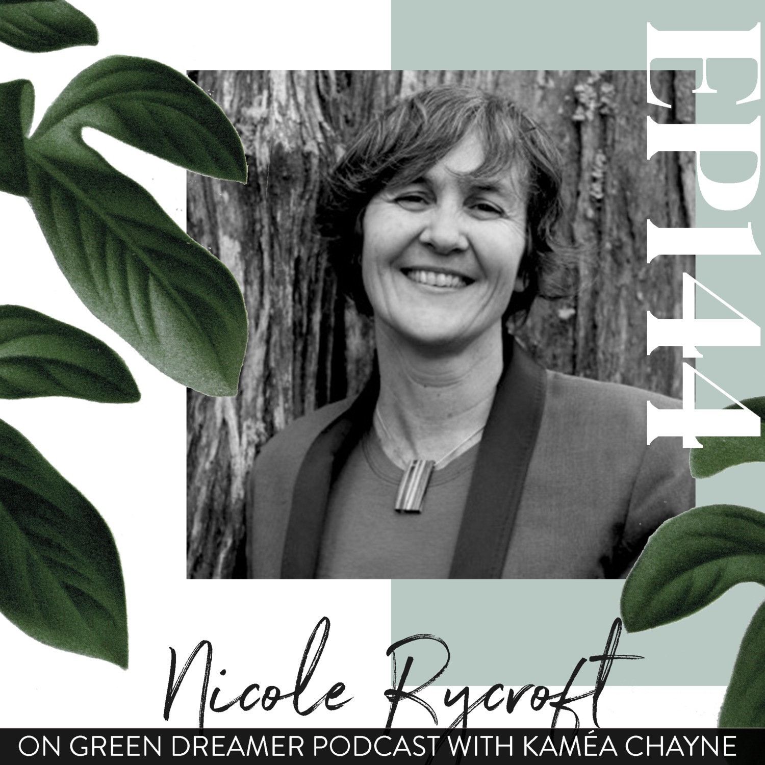 Safeguarding our irreplaceable ancient and endangered forests (interview with nicole rycroft of canopy)