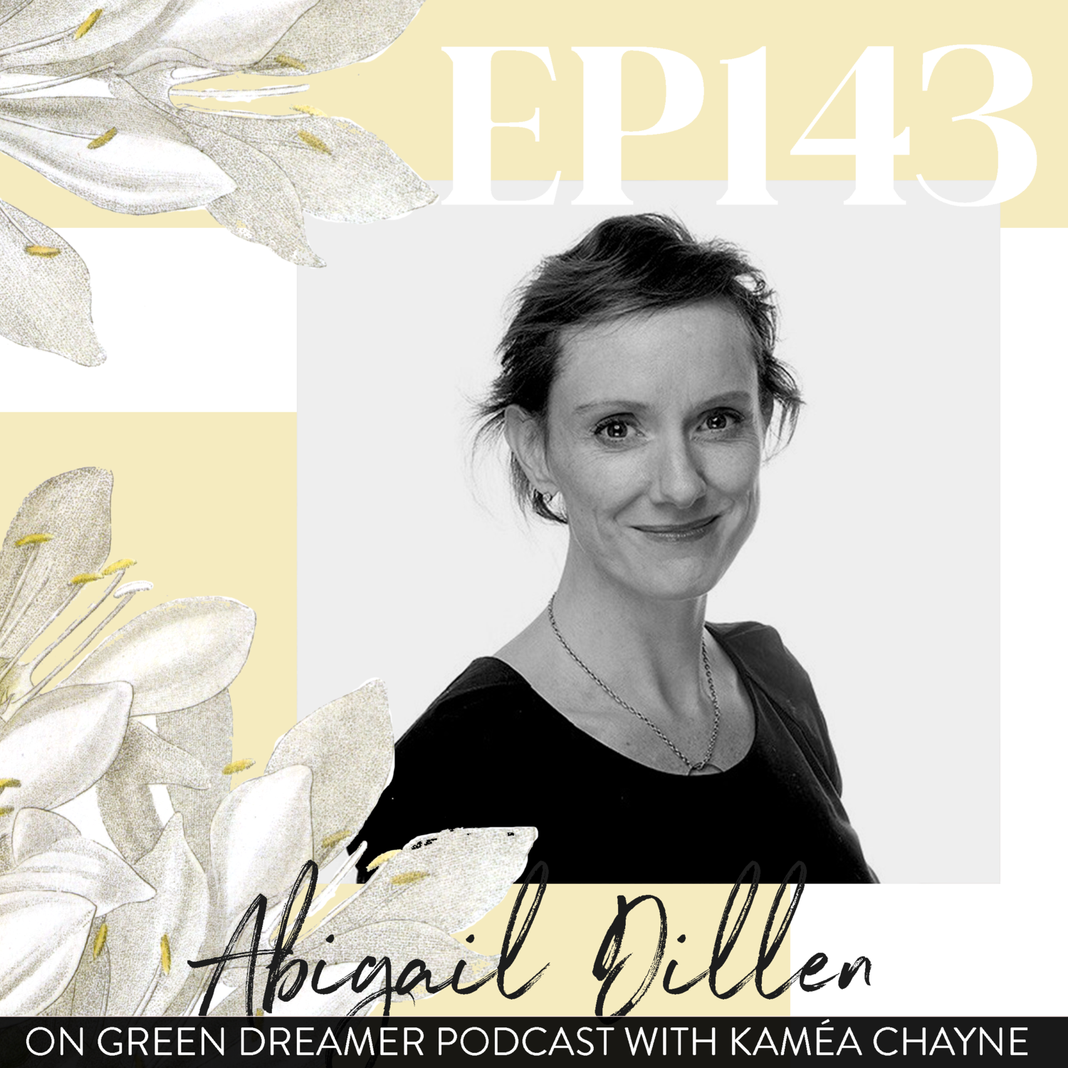 Using litigation and the courts to protect human health and our planet (interview with abbie dillen of earthjustice)