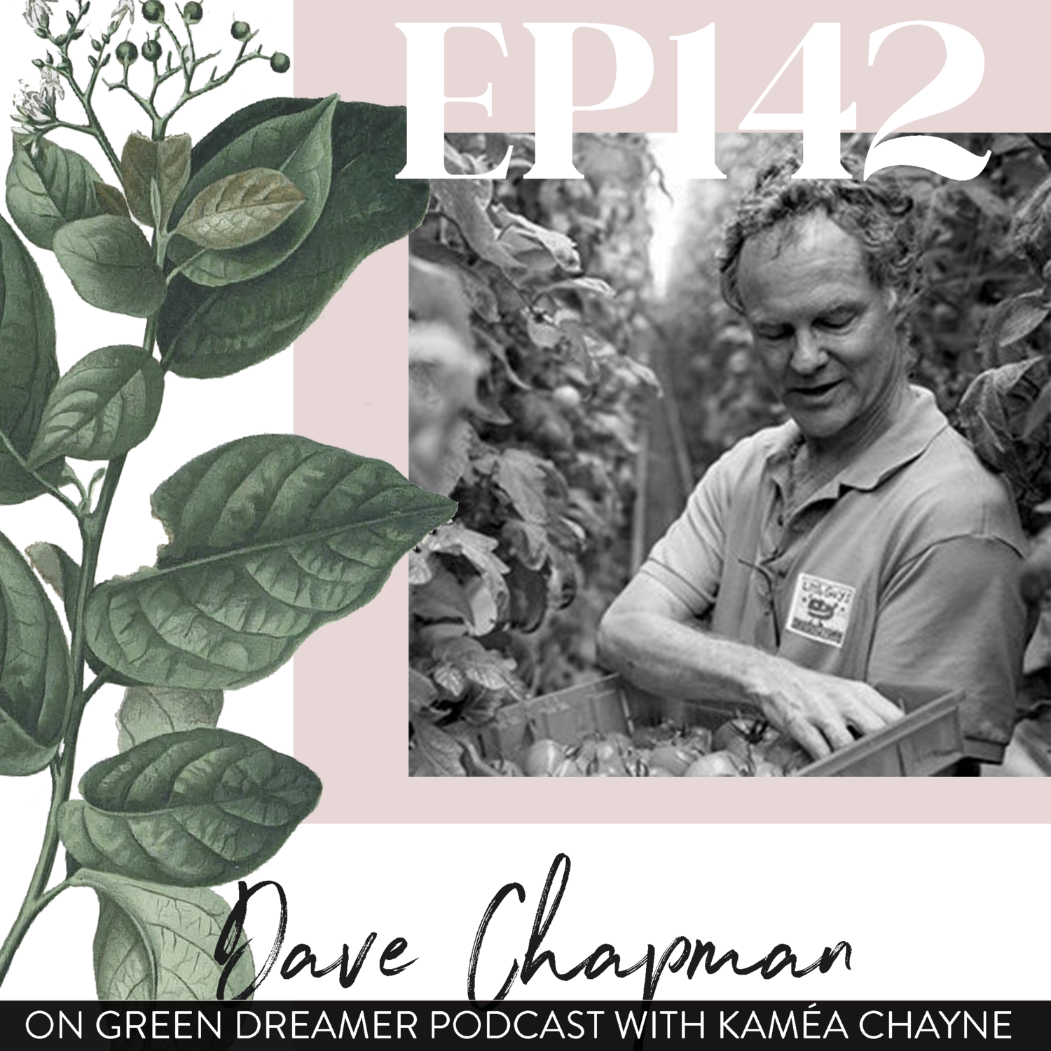 The fraud in 'certified organic' and reclaiming its true meaning (interview with dave chapman of the real organic project)
