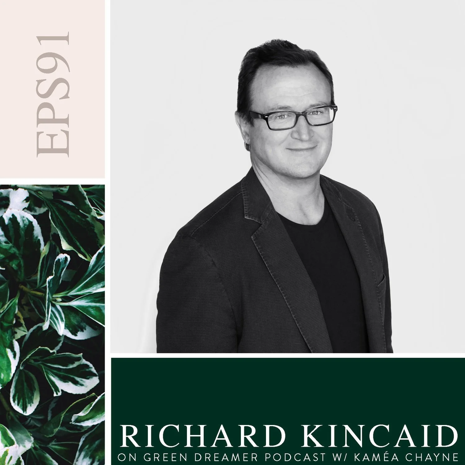 How living walls and biophilic design improve productivity and wellbeing