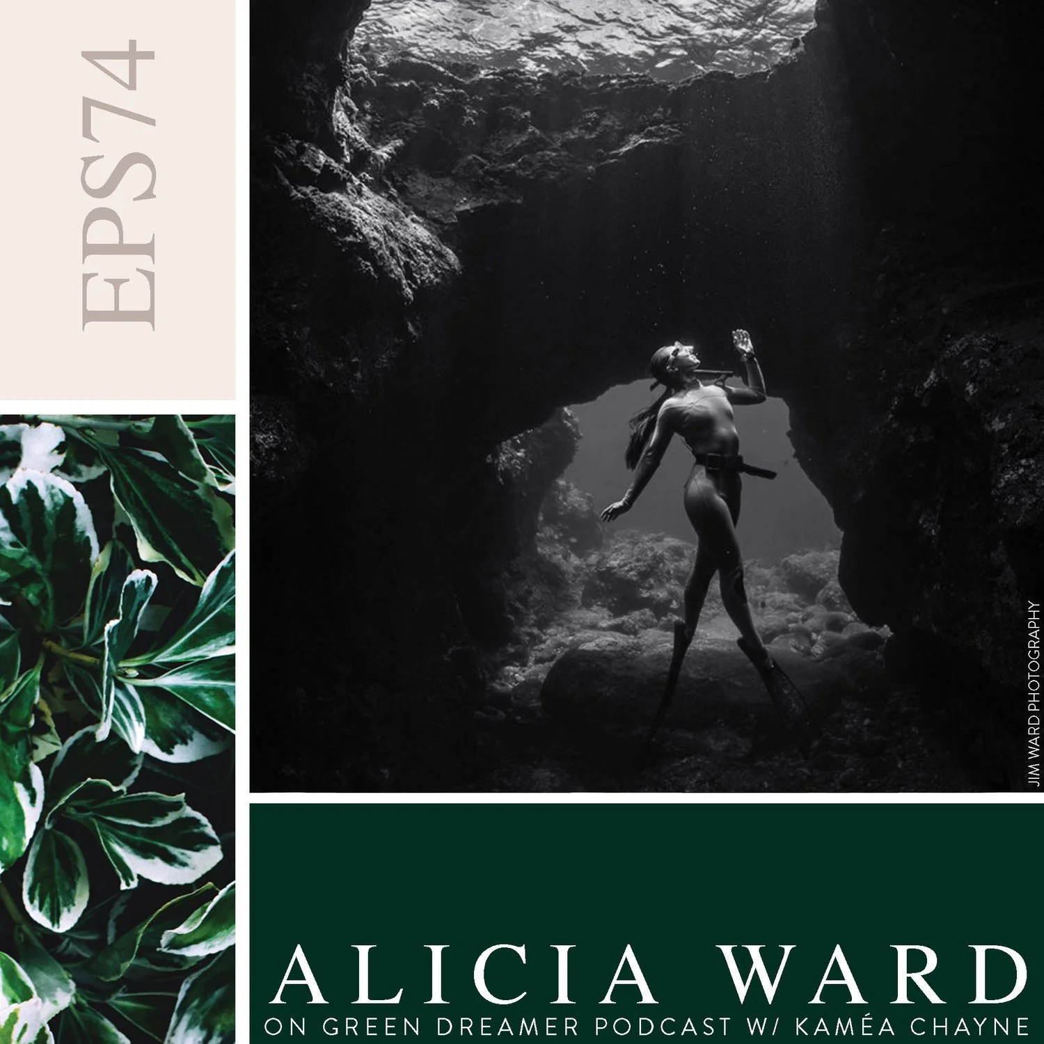 Inspiring greater respect for marine life and our oceans through underwater photography