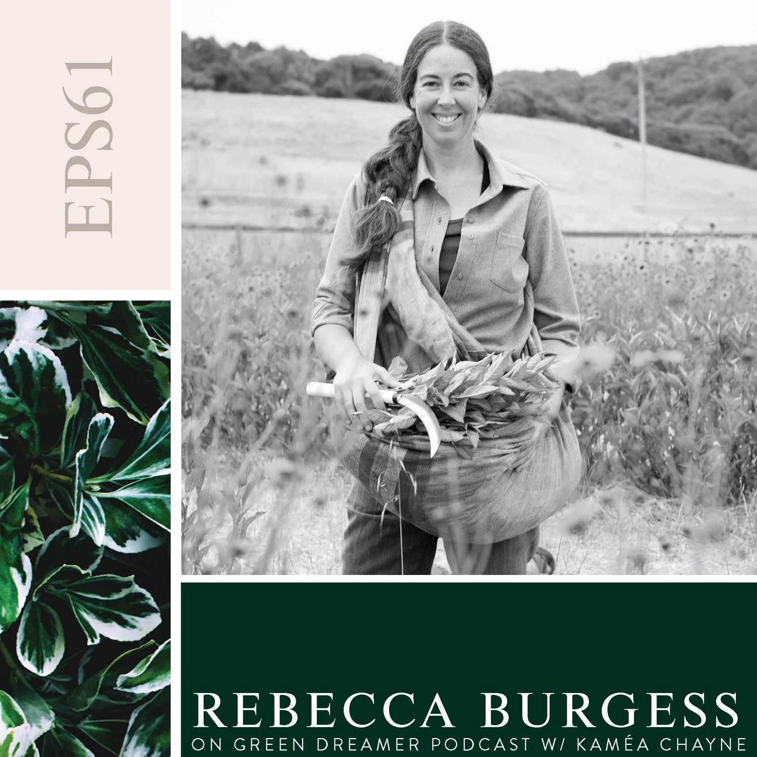 Looking past standardized impact assessments to understanding a bioregion