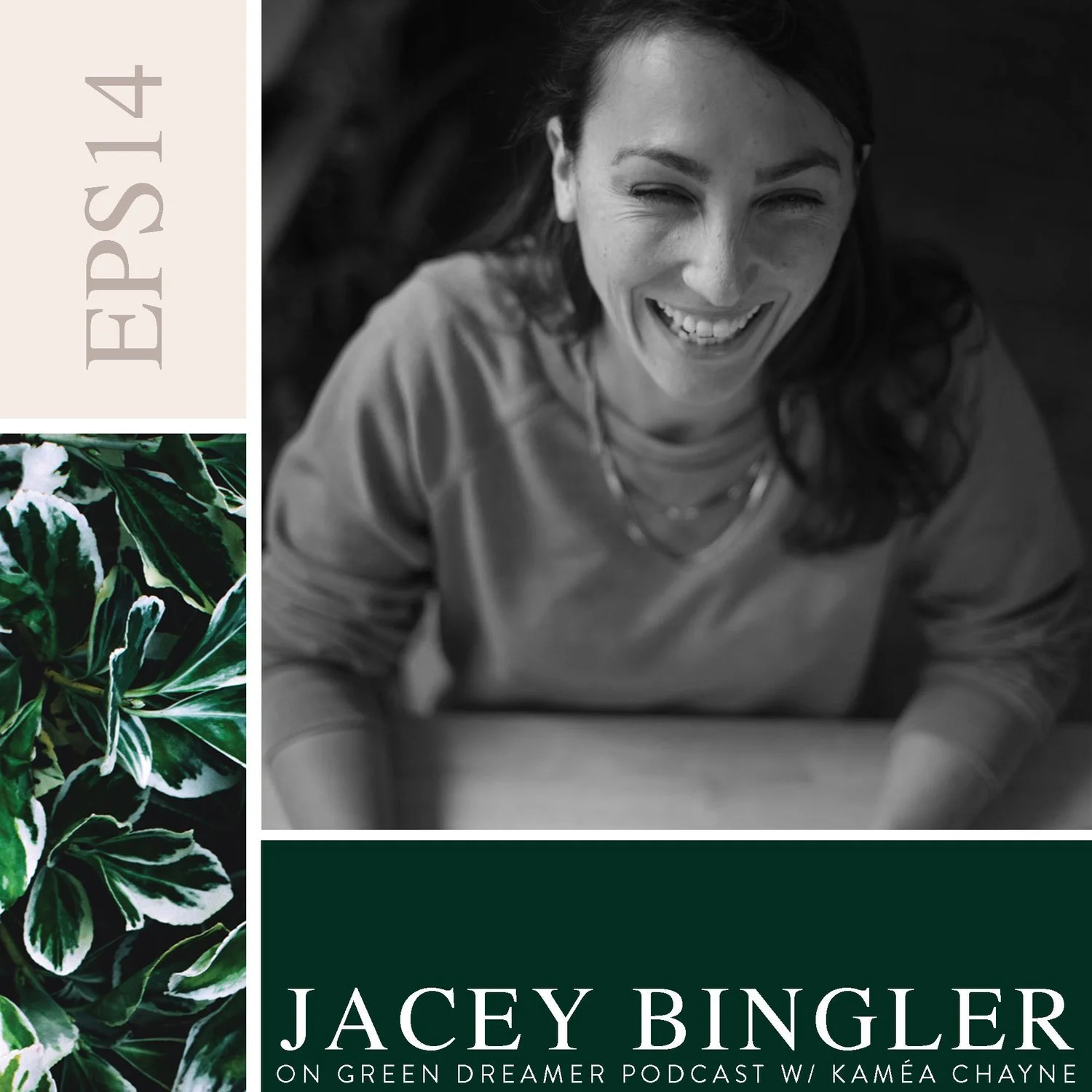 Scaling your eco venture through collaboration and building trust