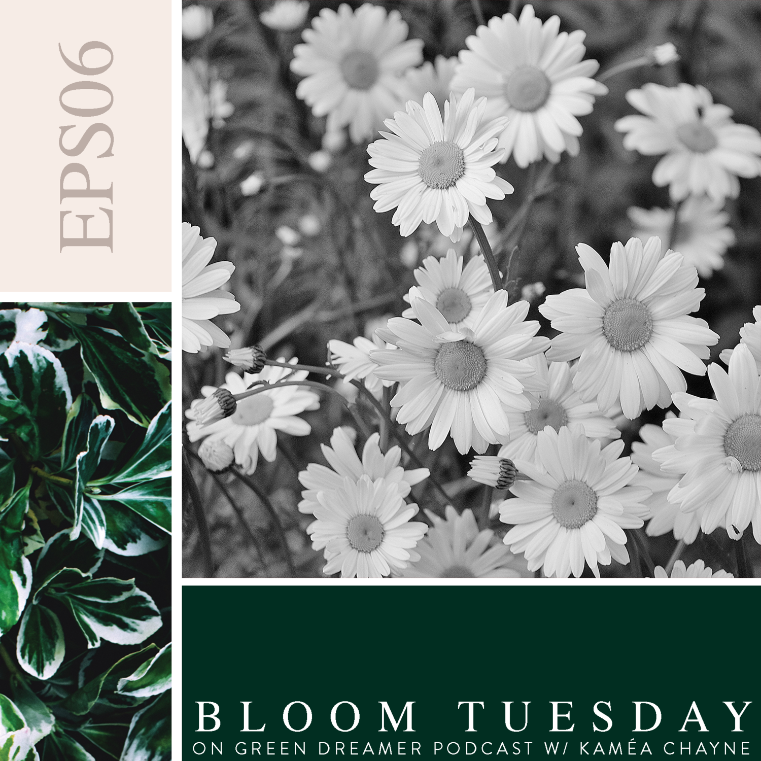 Mama earth wants you to take a deep breath and treat yourself for sustainability!