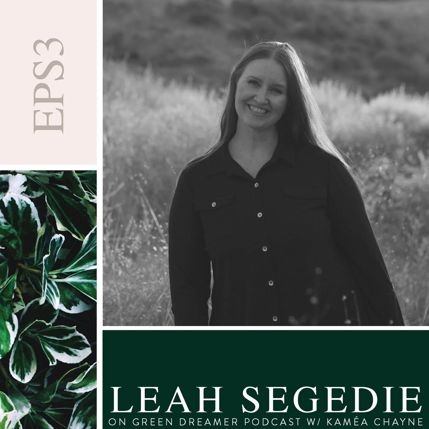 Social media democratizing power and how to get your message heard