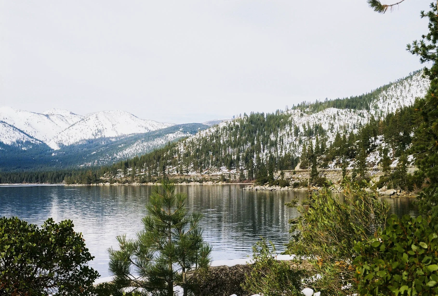 1-3 reno (2 of 36).jpg