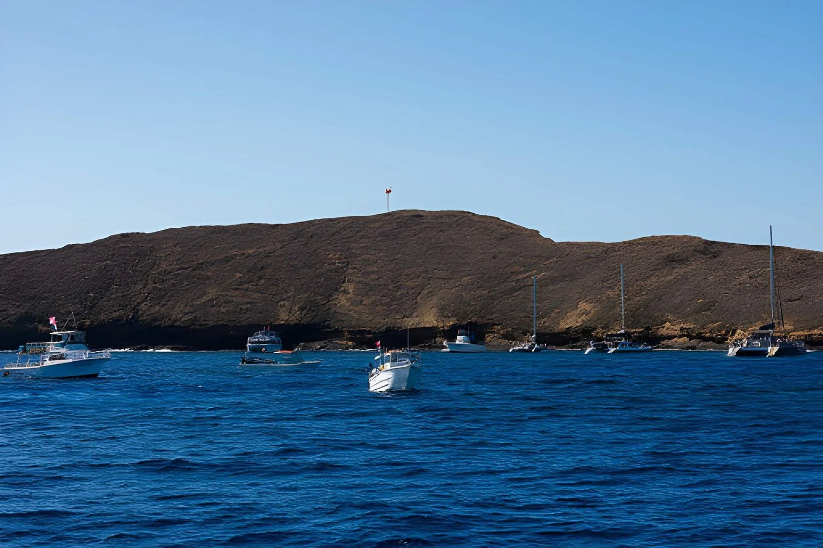 Snorkeling at Molokini Crater