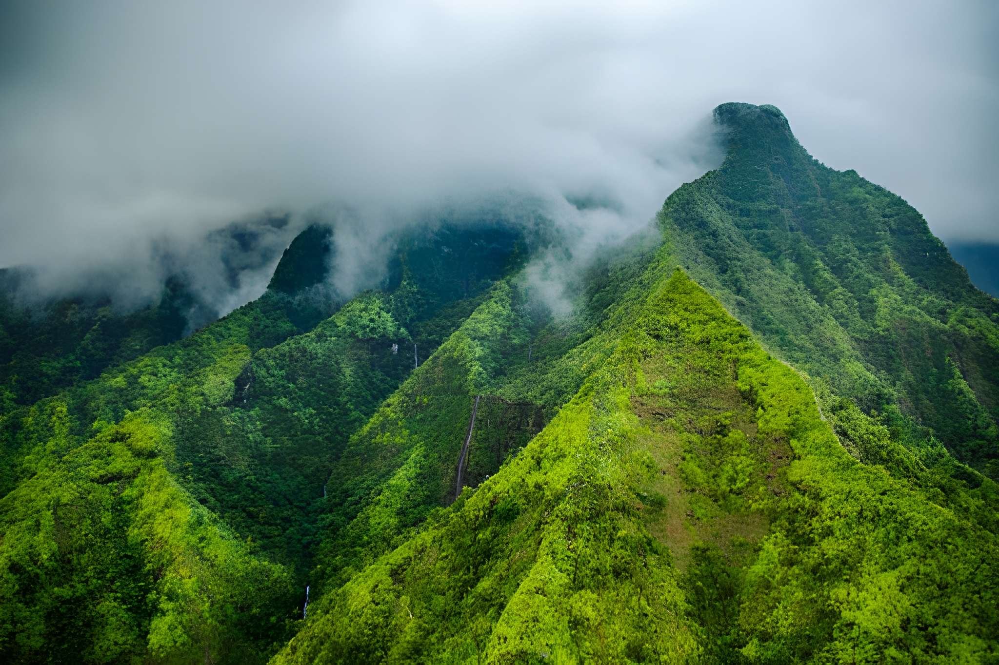 Which Tours and Activities Offer Kamaʻāina Discounts in Hawaiʻi?