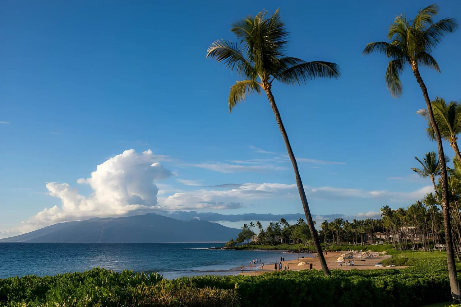 Maui Travel Guide 2026 Costs Beaches Food and Hidden Secrets