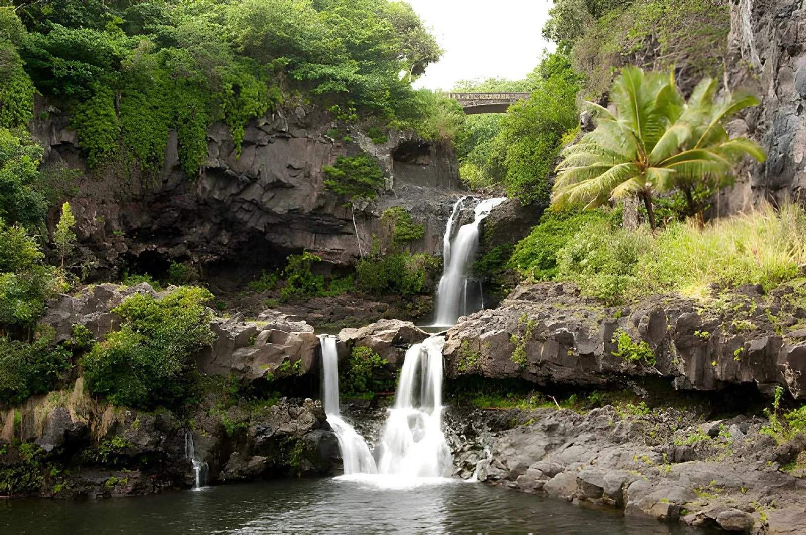 7 Powerful Reasons to Choose Maui This May Over Other Destinations