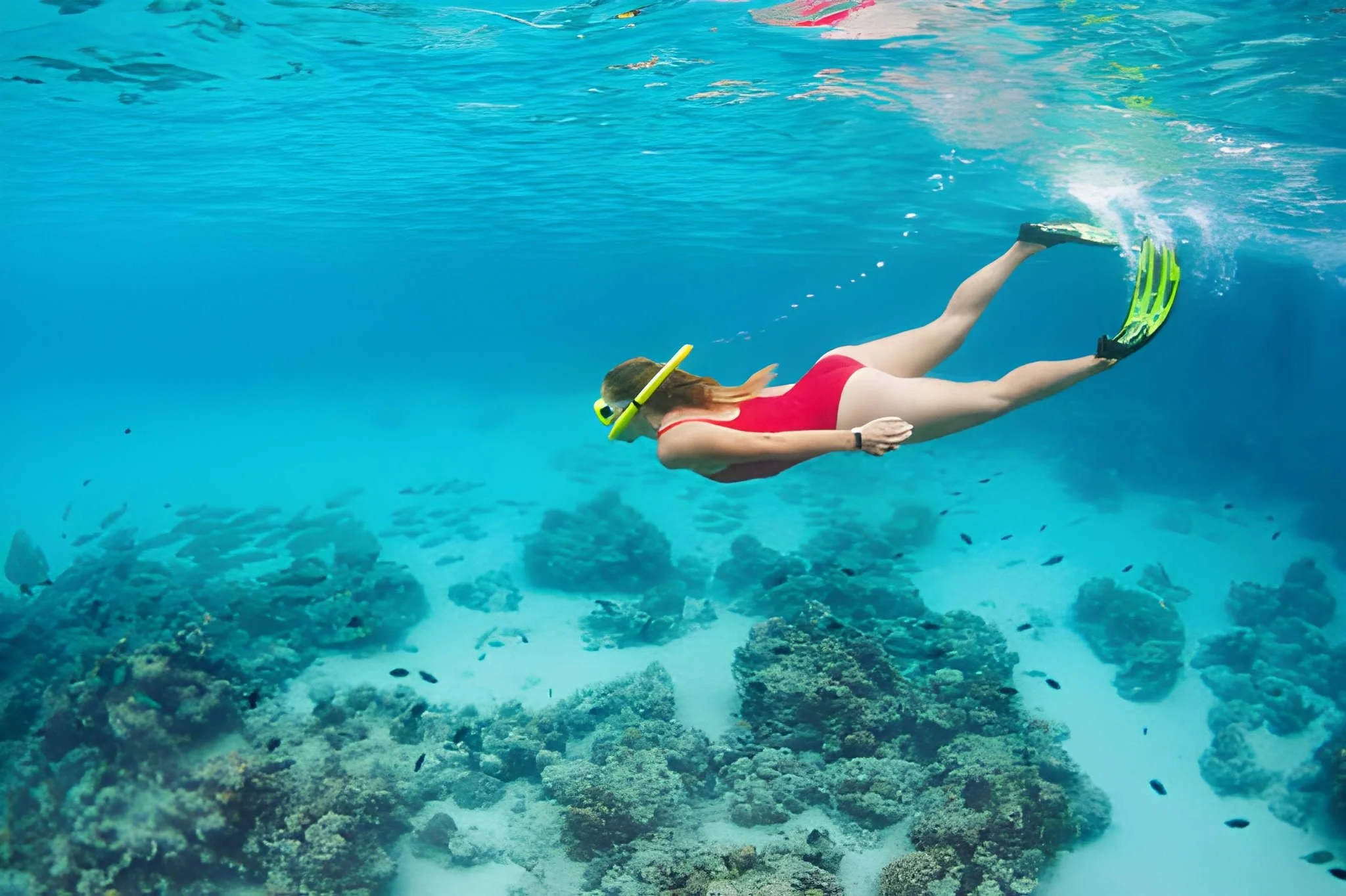Snorkeling & Ocean Tours