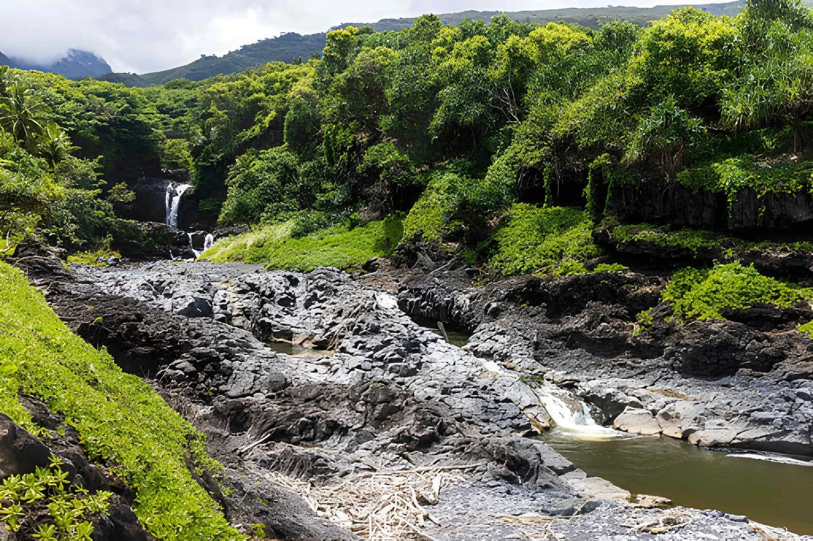 Road to Hana lush rainforest waterfall