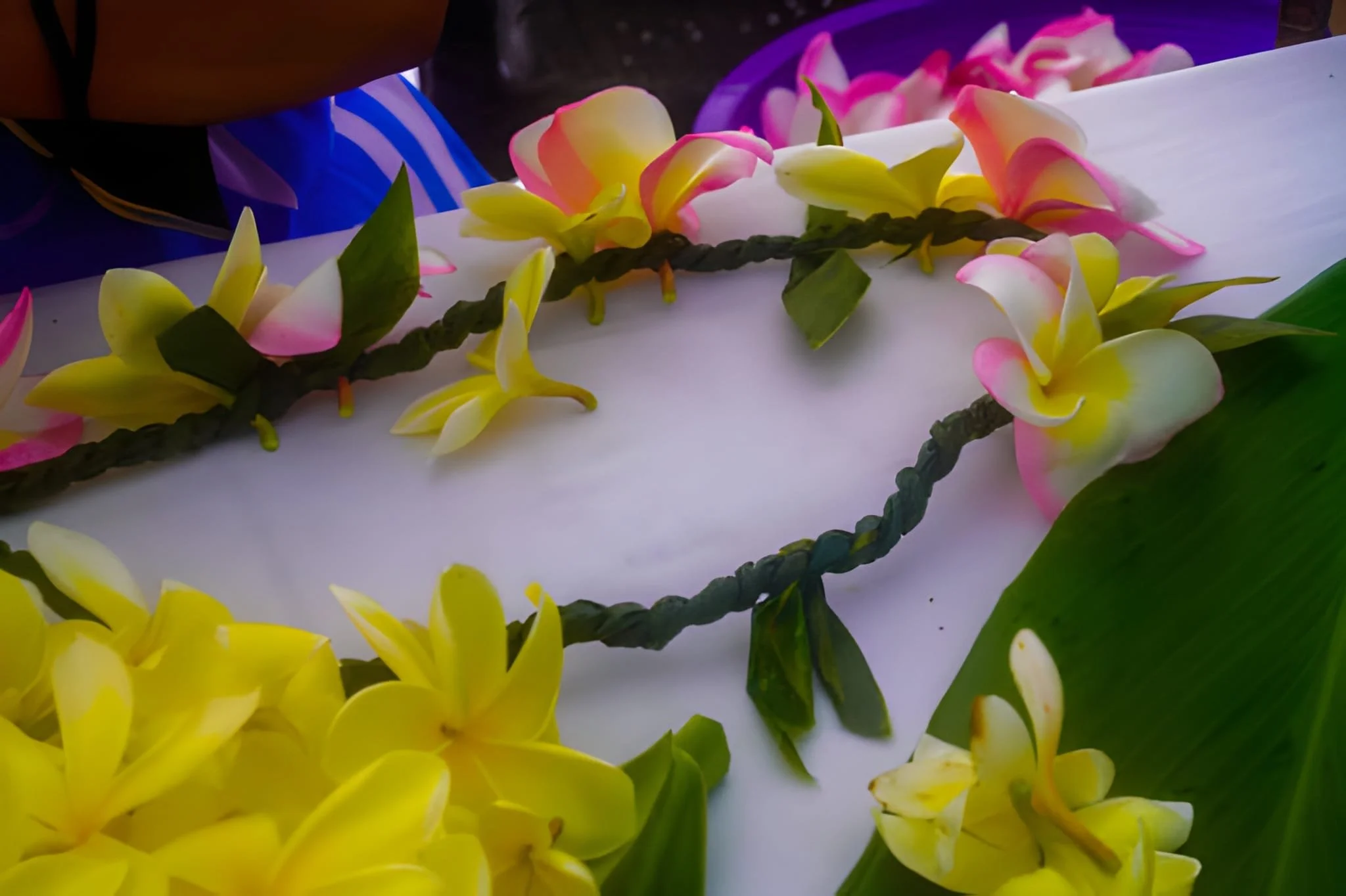 Plumeria Lei Greeting