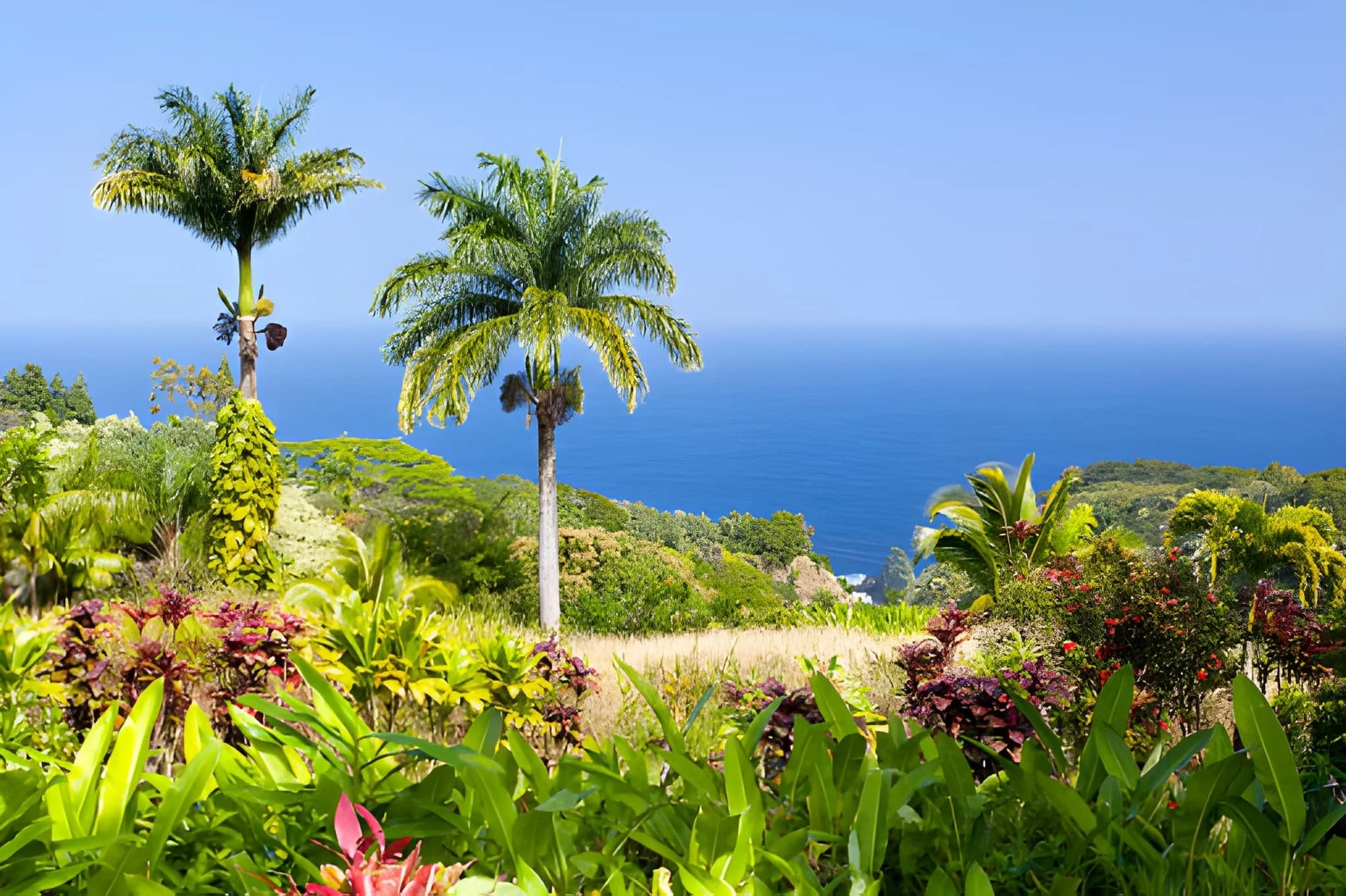 Maui’s Botanical Gardens