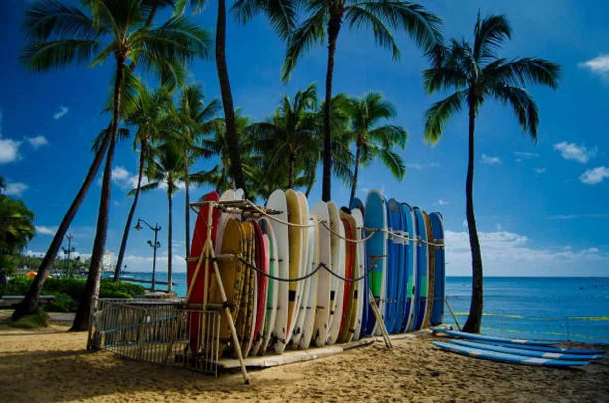 Surfing at Waikiki Beach
