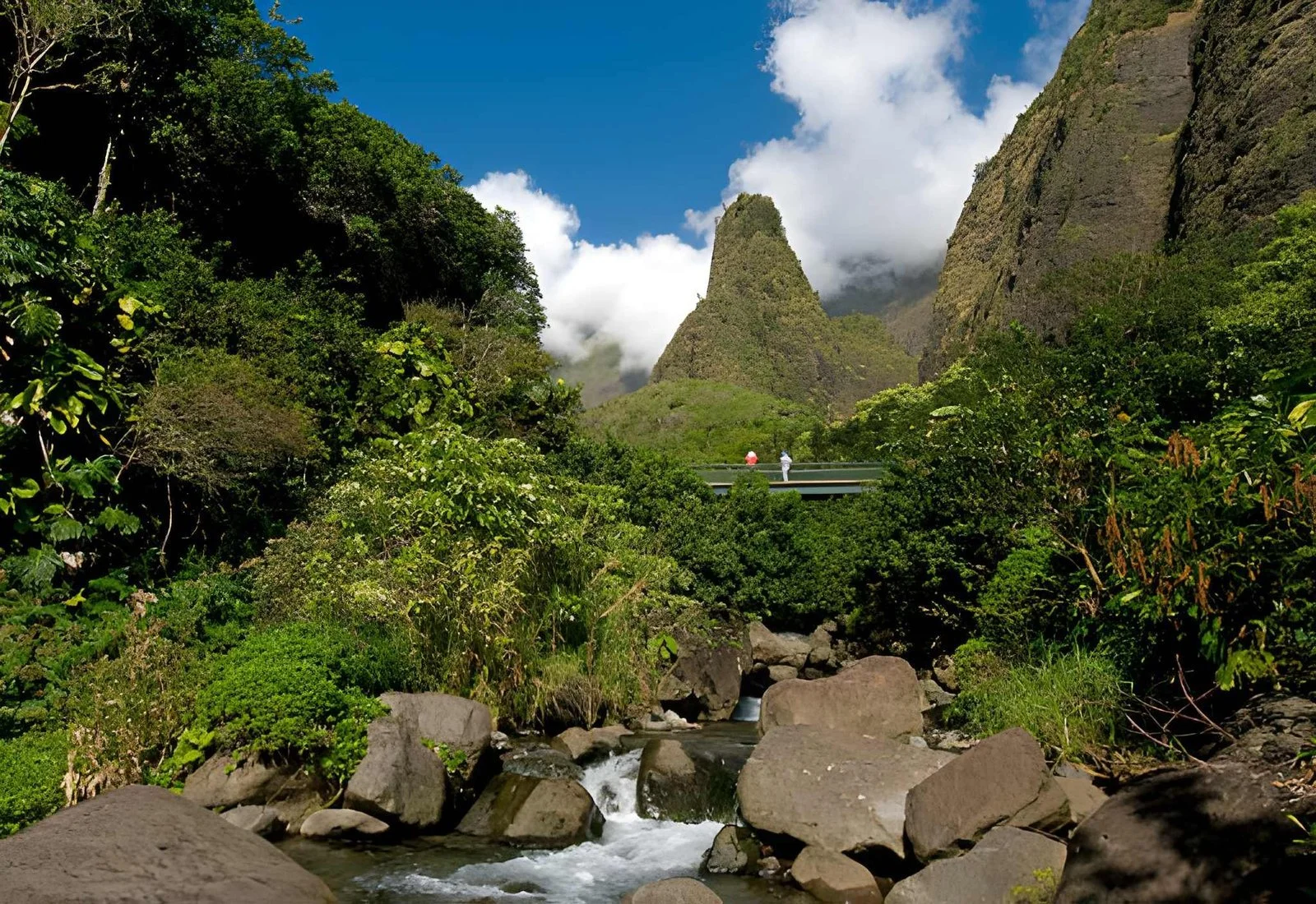 Iao Valley with the iconic Iao Needle