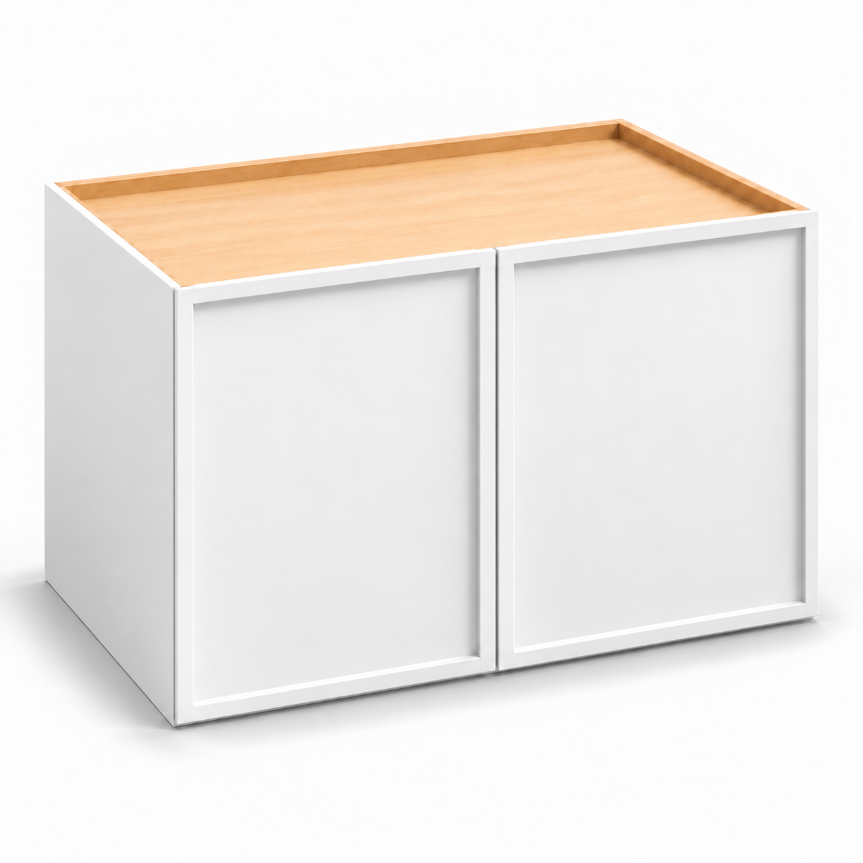 Slim Shaker 24-Inch-Deep Double-Door Wall Cabinet
