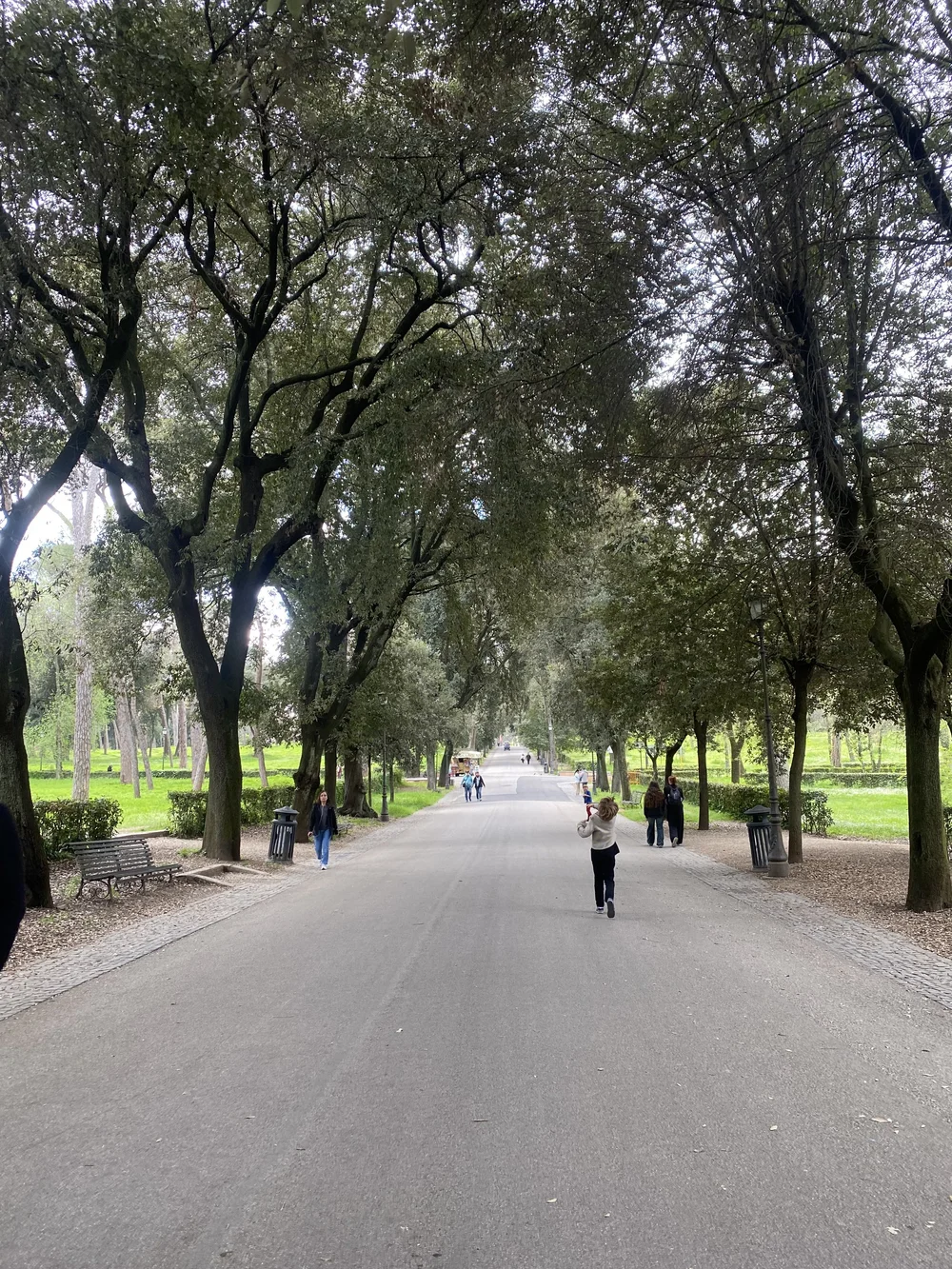 2025-04-08 13.18.12.jpeg