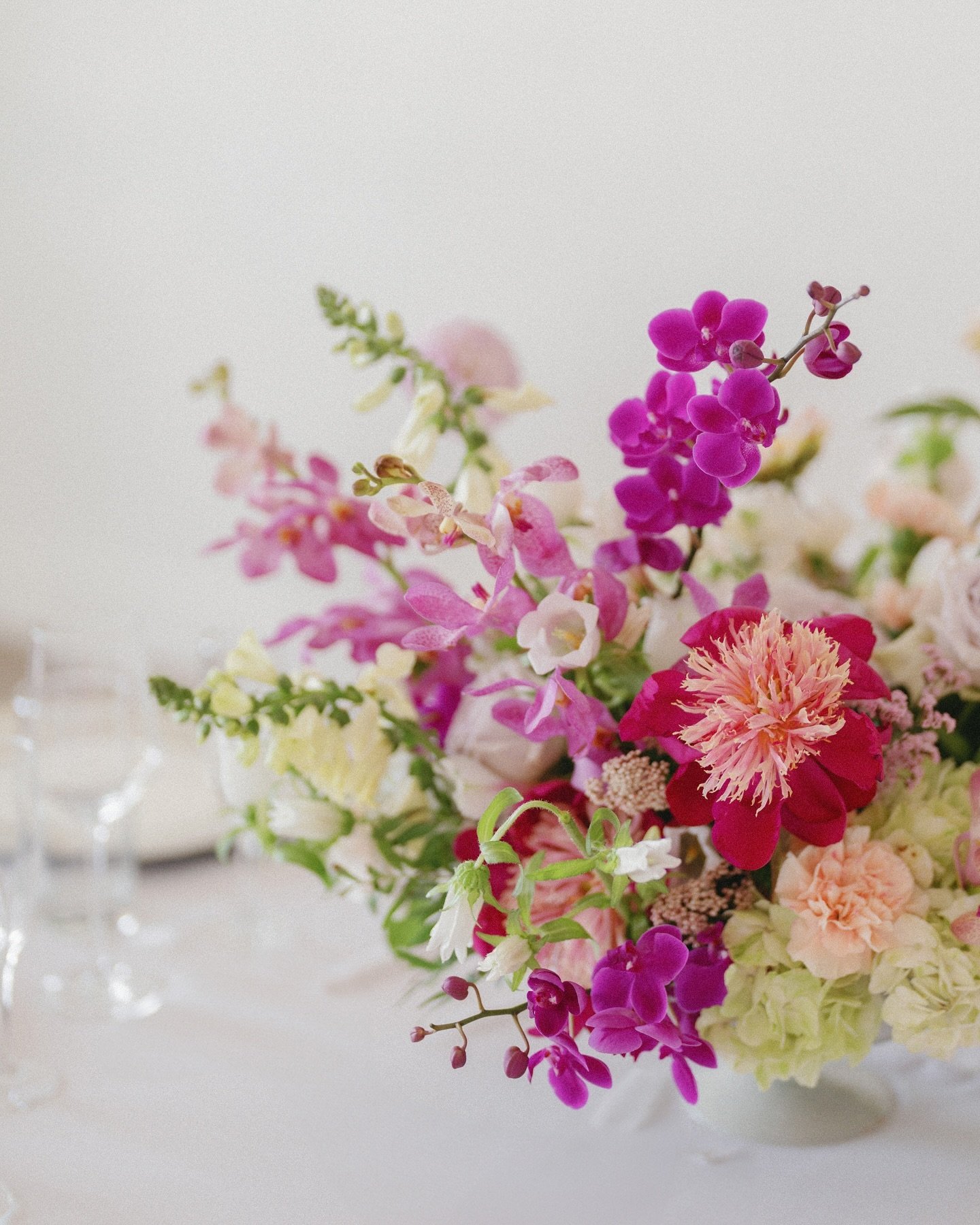 White and fuchsia color palette&mdash;how to blend?? We figured it out. The fuchsia orchids and peonies for this NYC couple&rsquo;s wedding in Austin were gorgeous and @paigevaughnphoto is always the perfect person to capture flowers with vibrant col