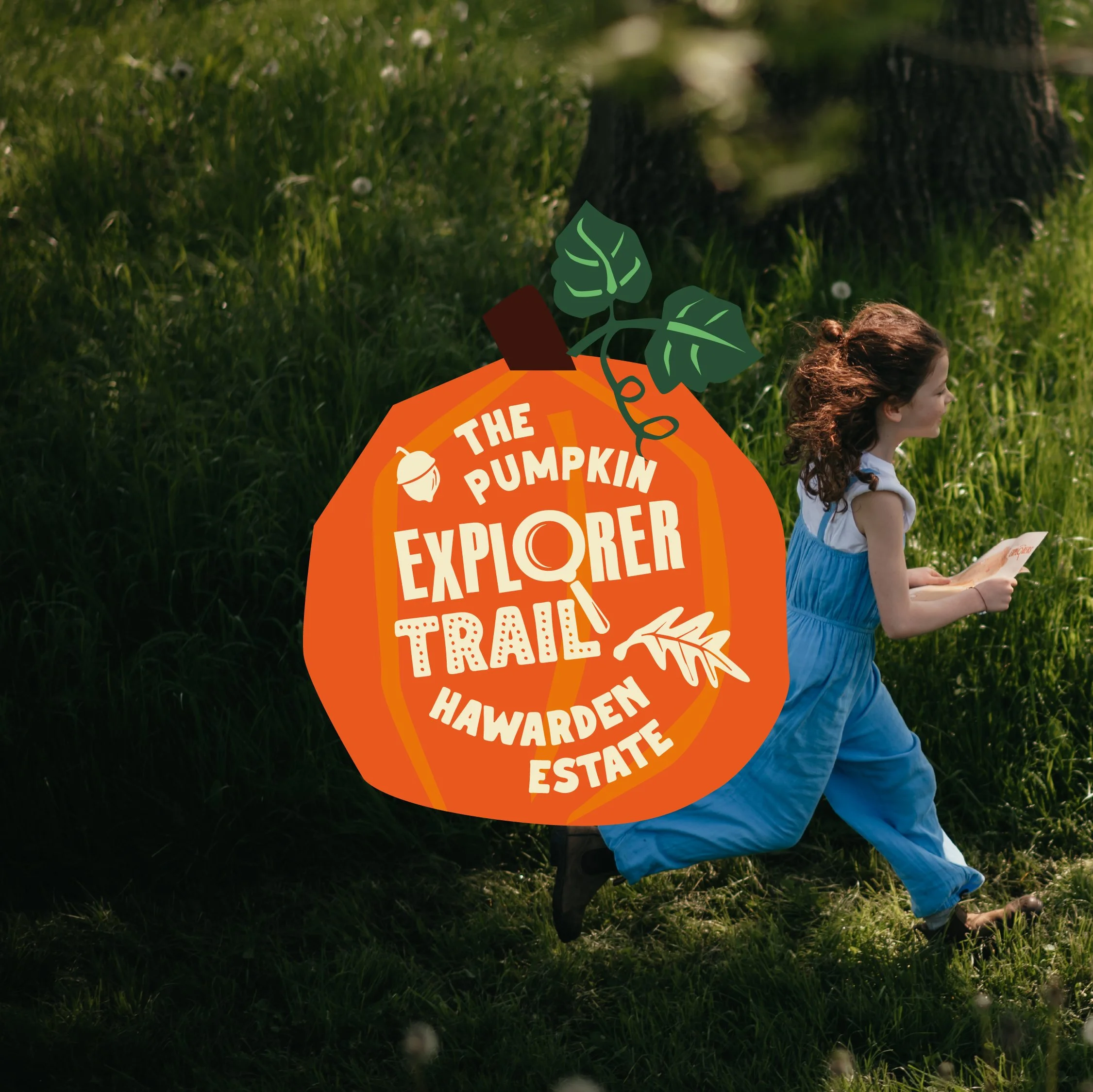 Pumpkin Explorer Trail