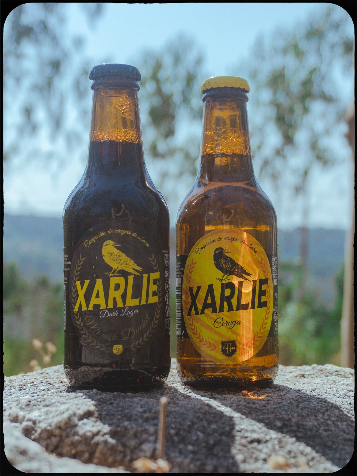 Entre as &aacute;rvores brindamos com a Xarlie 🍻

Vinda de Leiria, e nascida em 2016, foi fruto de curiosidade, viagens e vontade de fazer diferente. As cervejas  Xarlie s&atilde;o feitas com mat&eacute;rias-primas escolhidas a dedo e com muito orgu