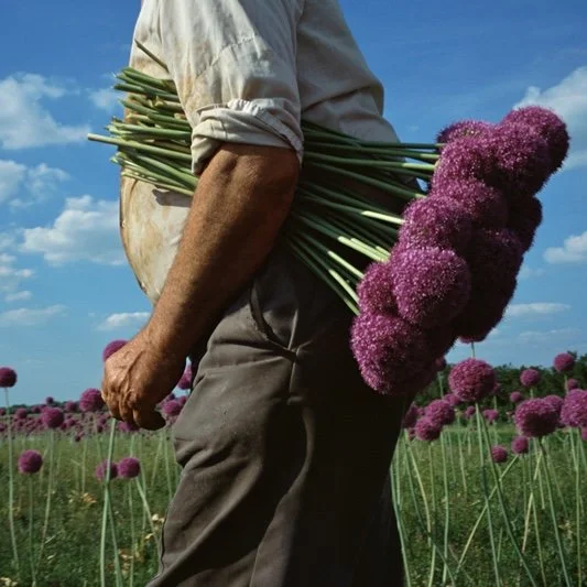 Justin Partyka — East Anglia