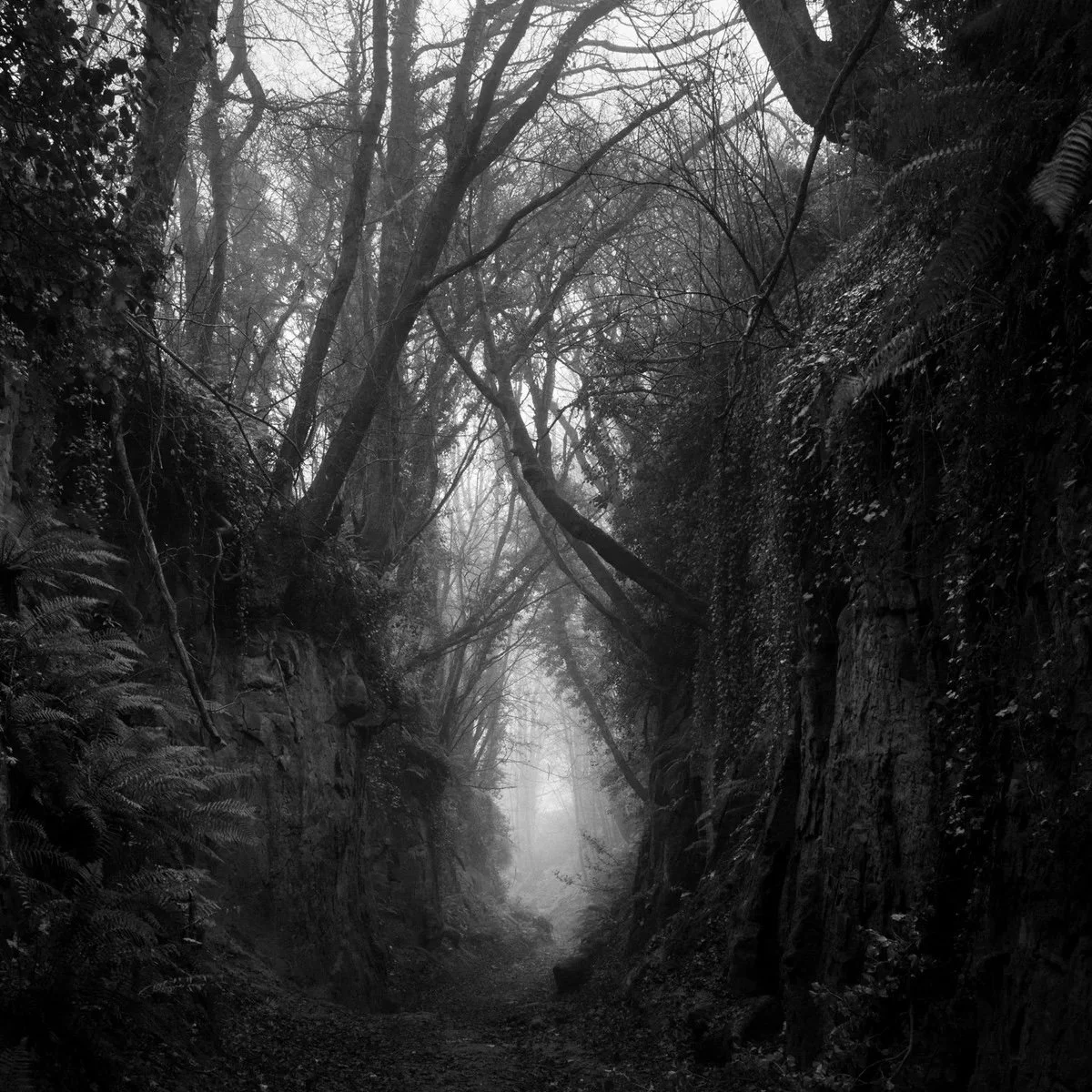 Robert Darch — Holloway
