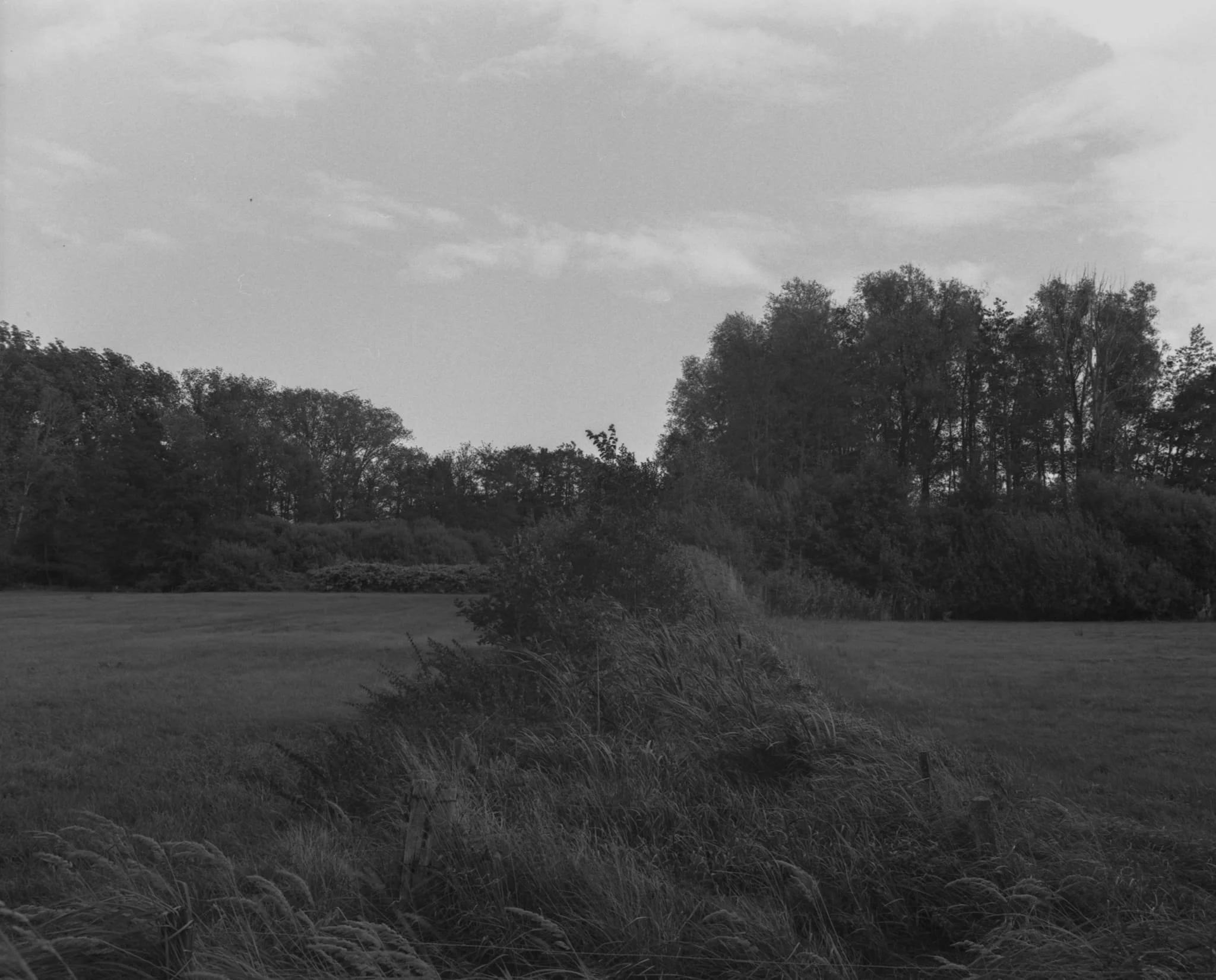 coulisse-11.jpg