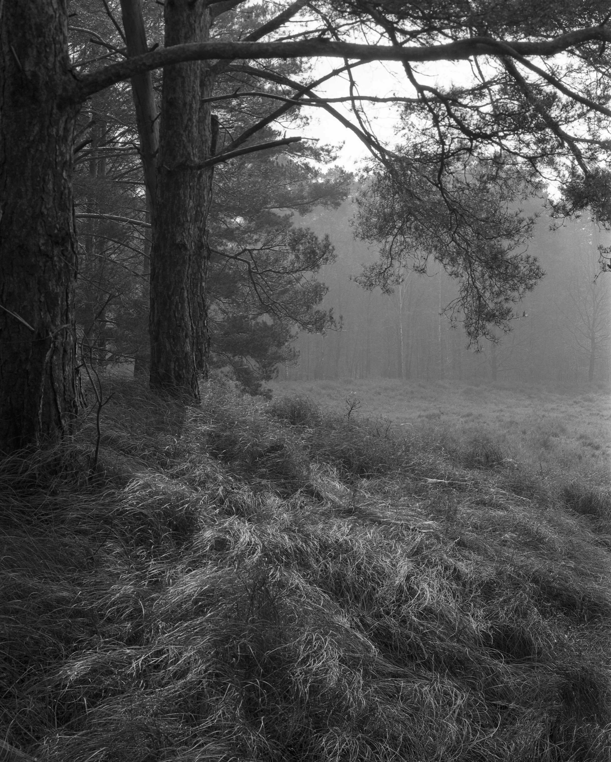 img005.jpg