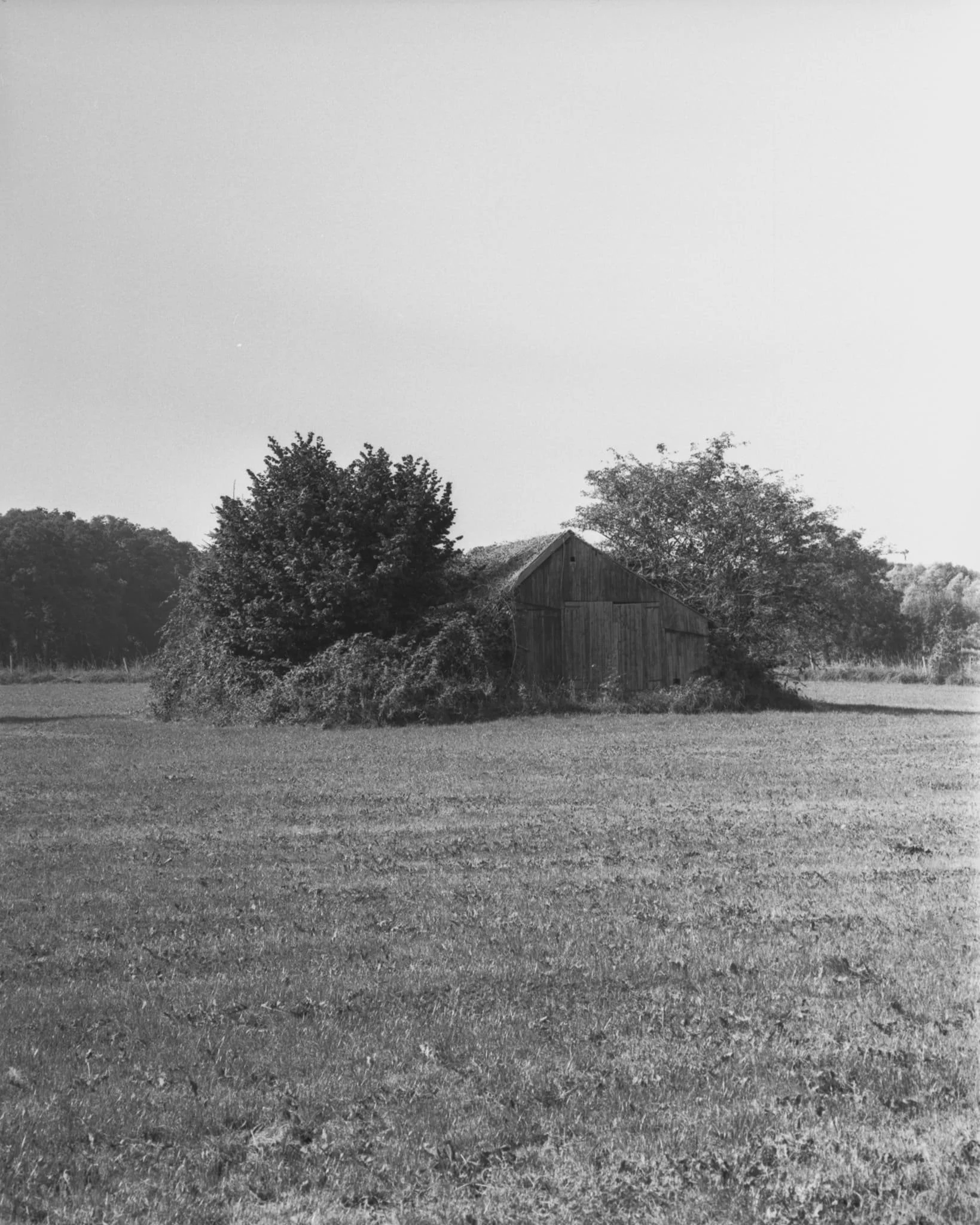 coulisse-03.jpg