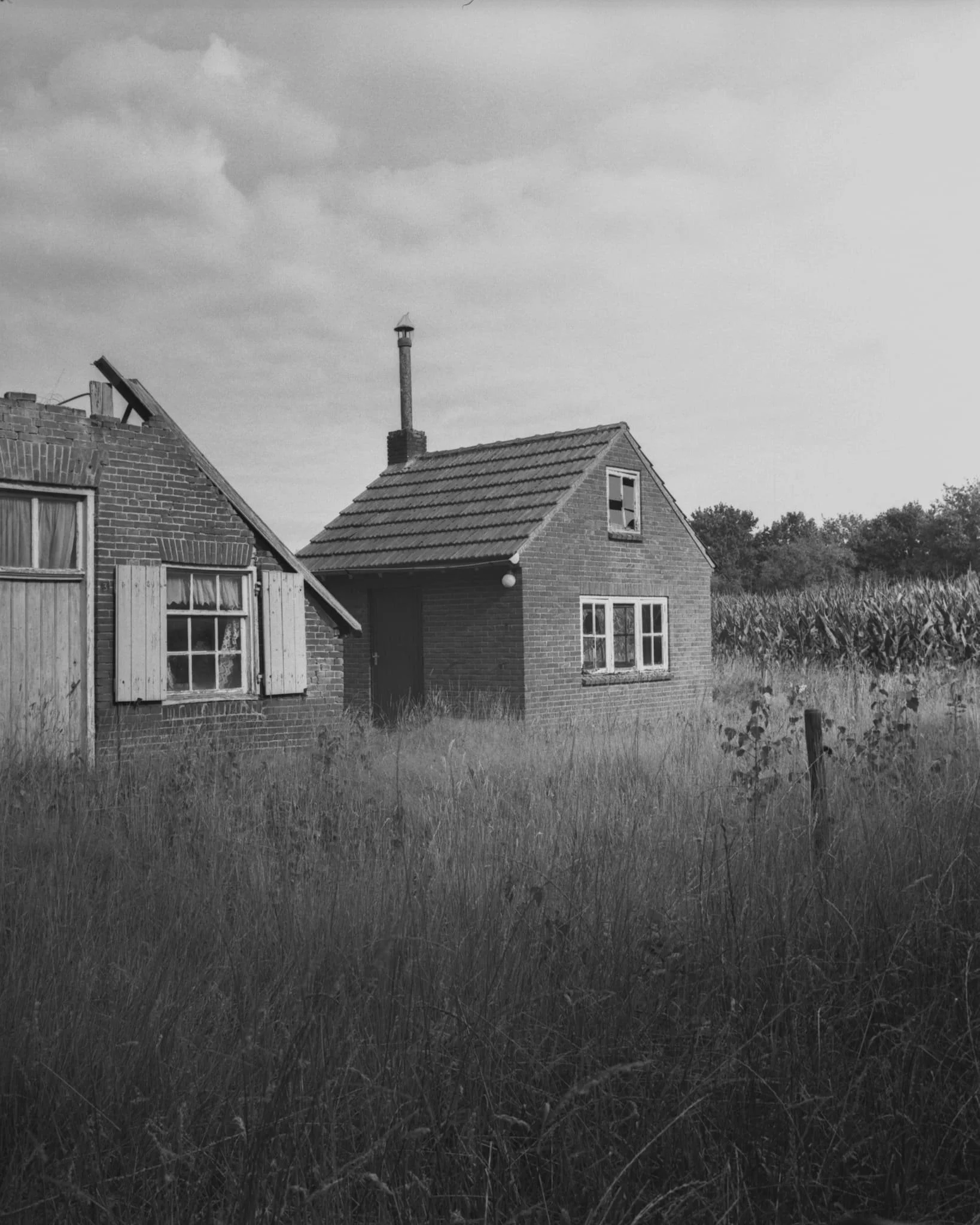 coulisse-05.jpg