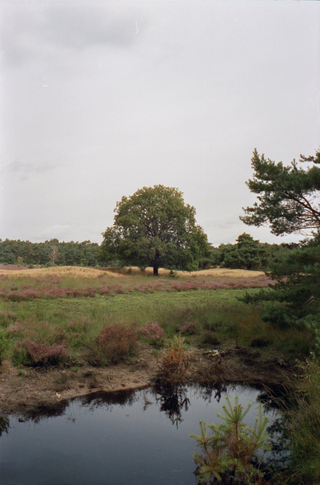 img20240821_0018 2.jpg