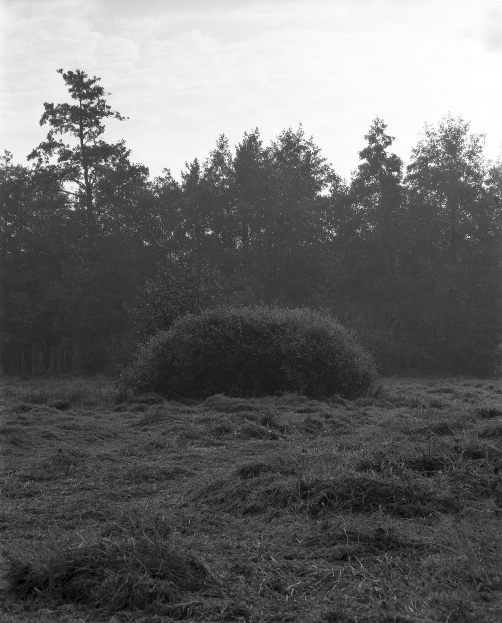 coulisse-14.jpg